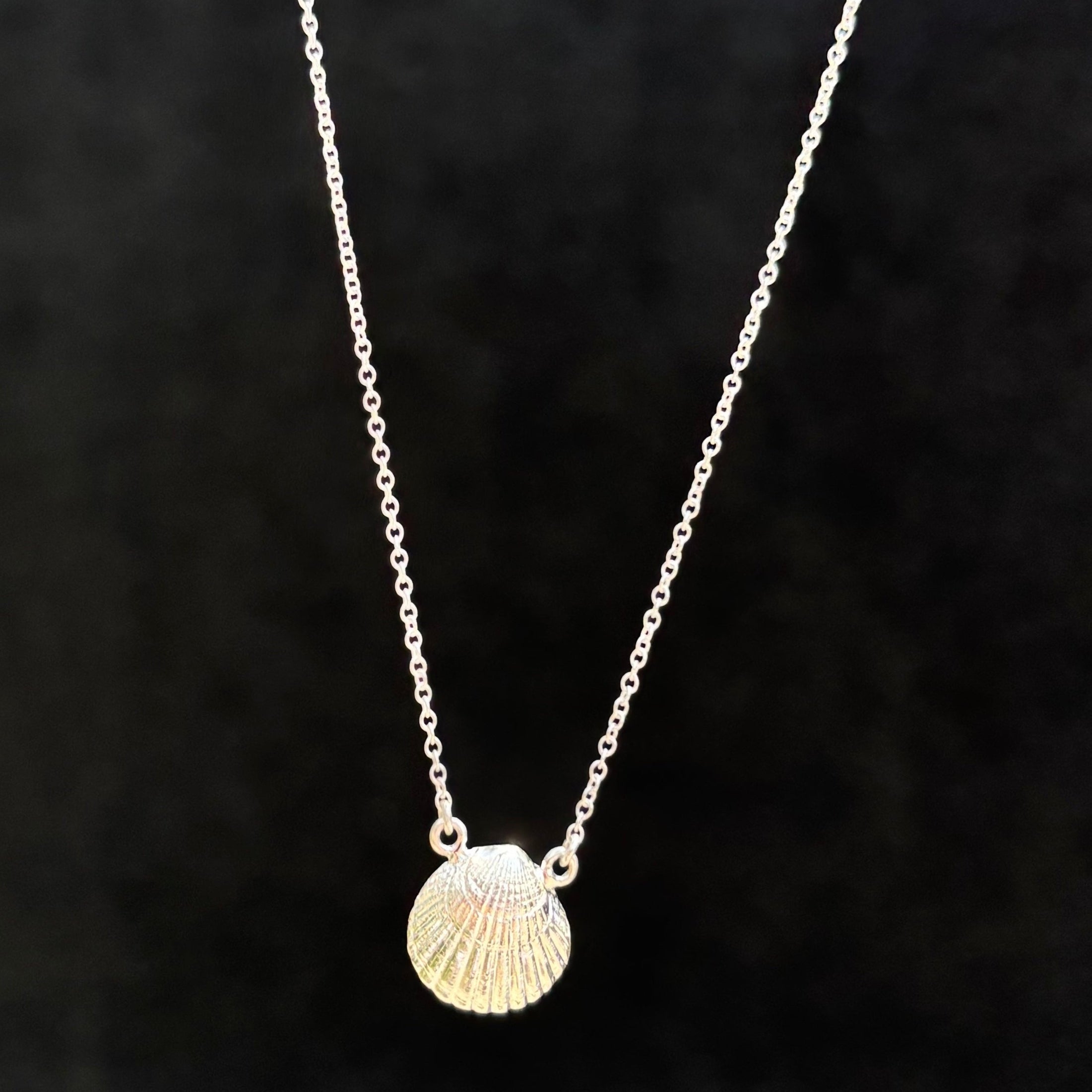 Kathryn Rebecca, Shell with Pearl Necklace