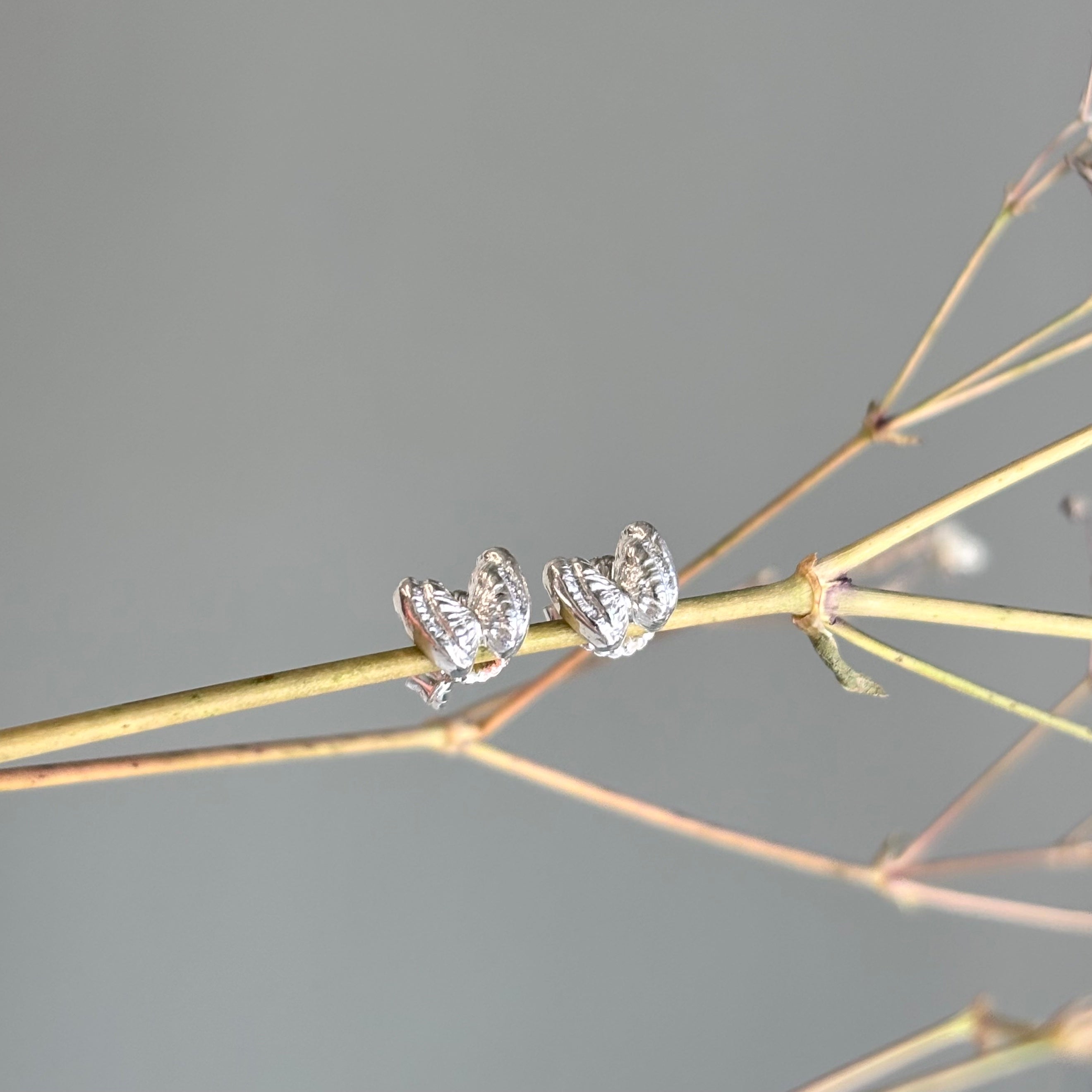 Kathryn Rebecca, Butterfly Shell Studs