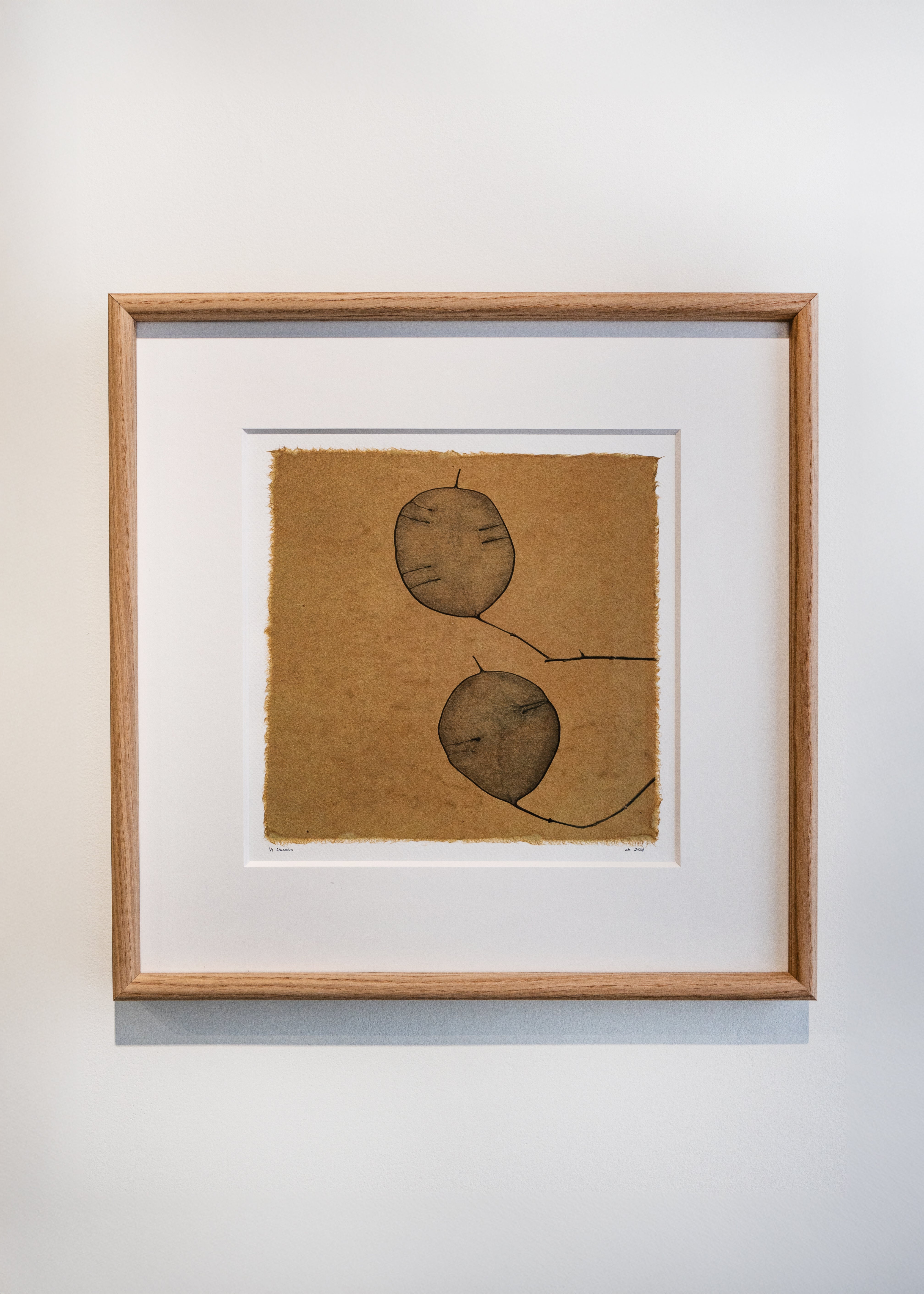 Kelly McDonald, Lunaria-1