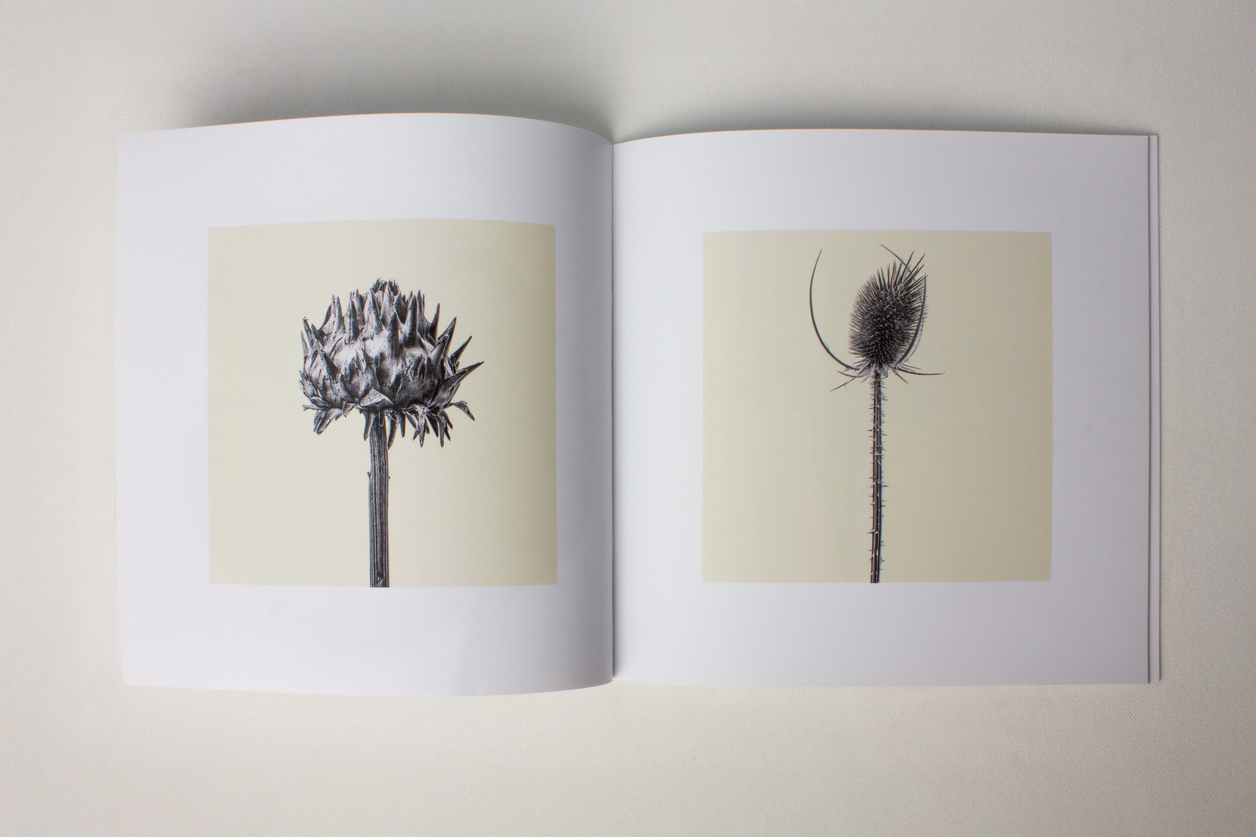 Kelly McDonald, relics catalogue-4