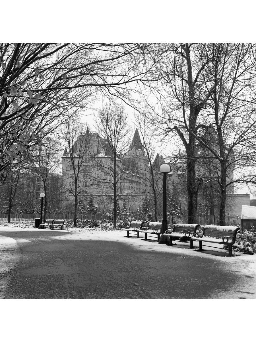 Jordan Craig, Major's Hill Park
