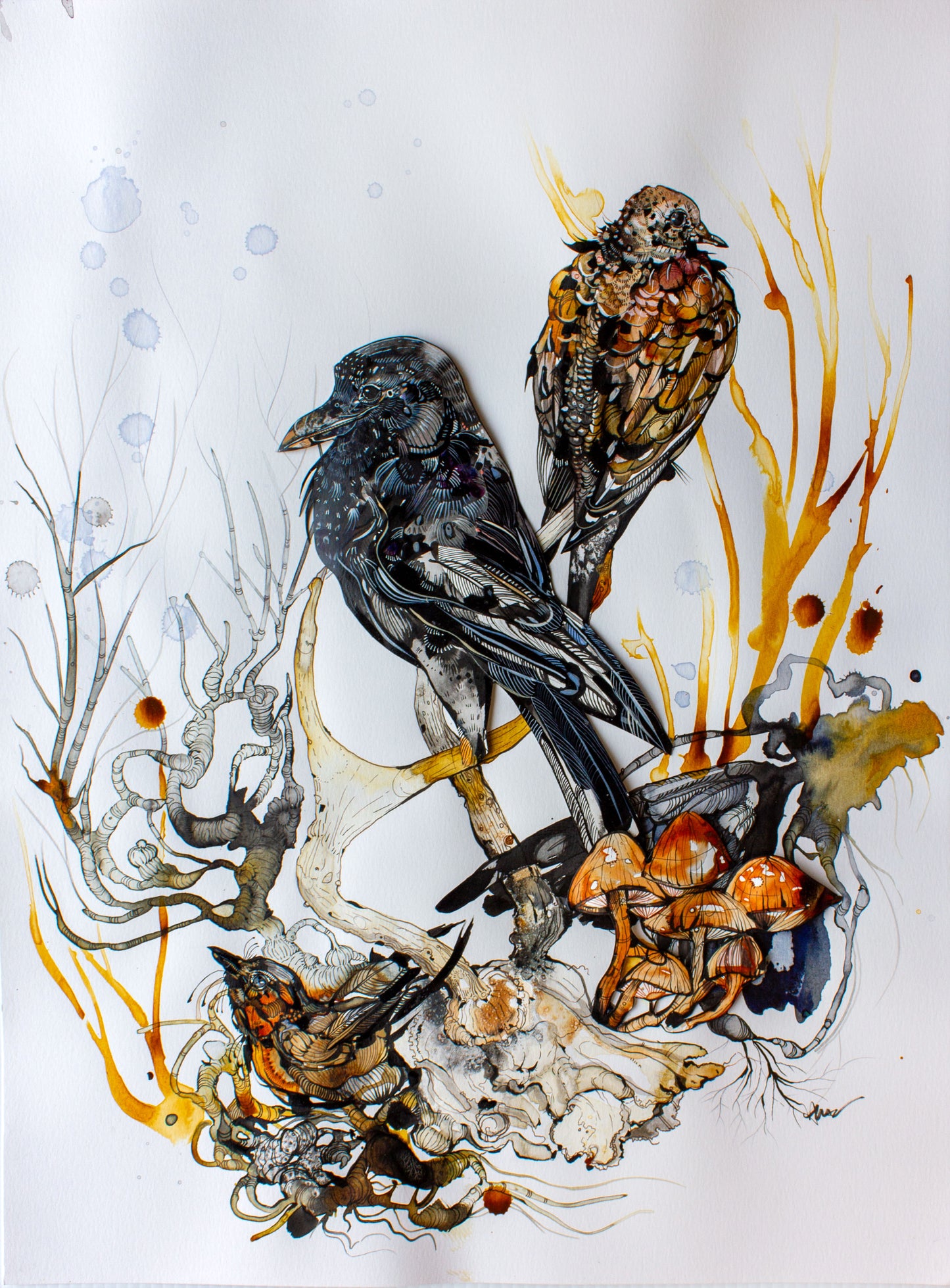 Ariane Beauchamp, Messengers