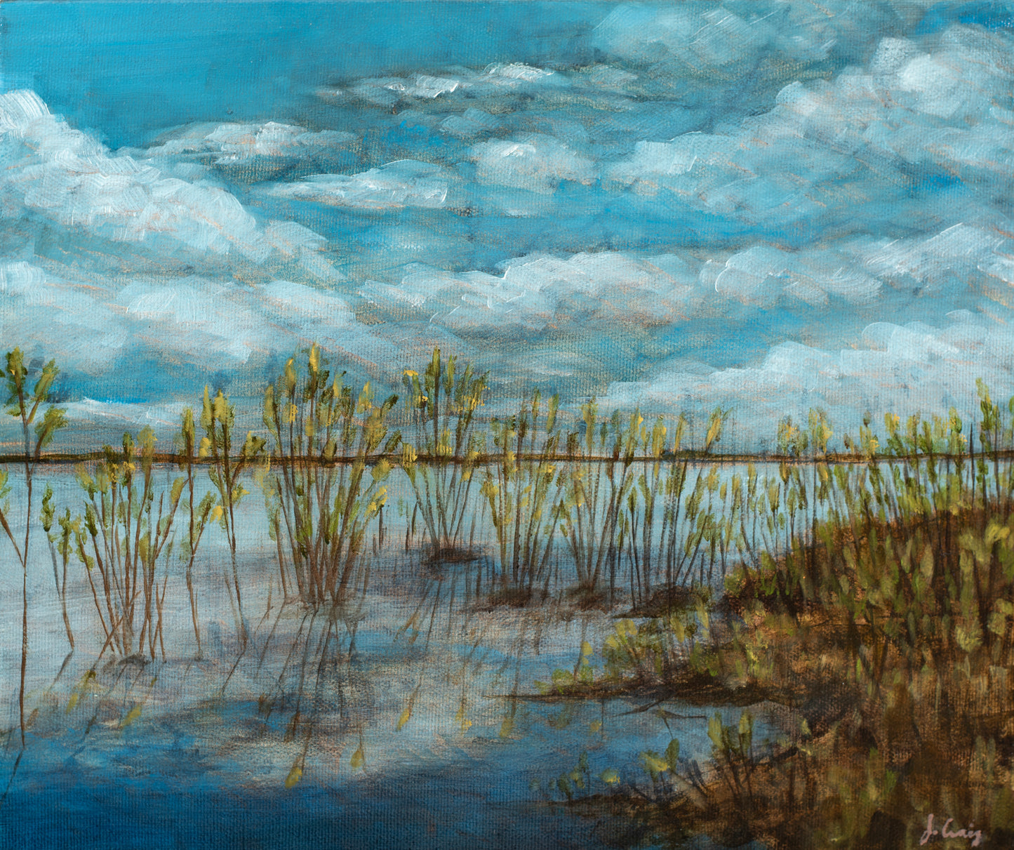 Jordan Craig, Migratory Bird Sanctuary