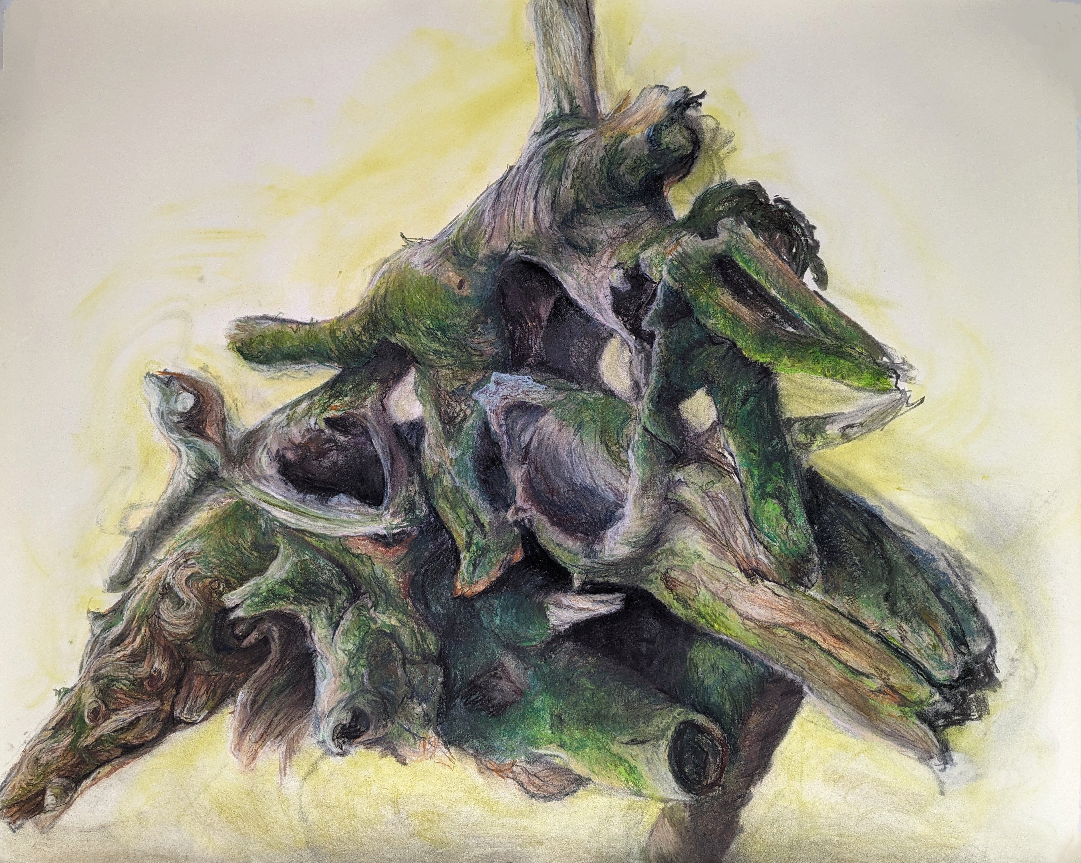 Gabrielle Madore, Moss Covered Stump, Crazy Horse Trail 2