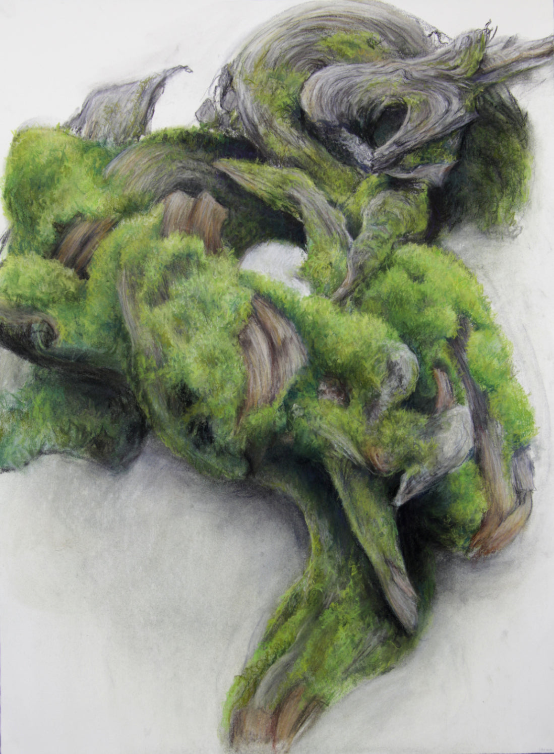 Gabrielle Madore, Moss Covered Stump, Crazy Horse Trail 1