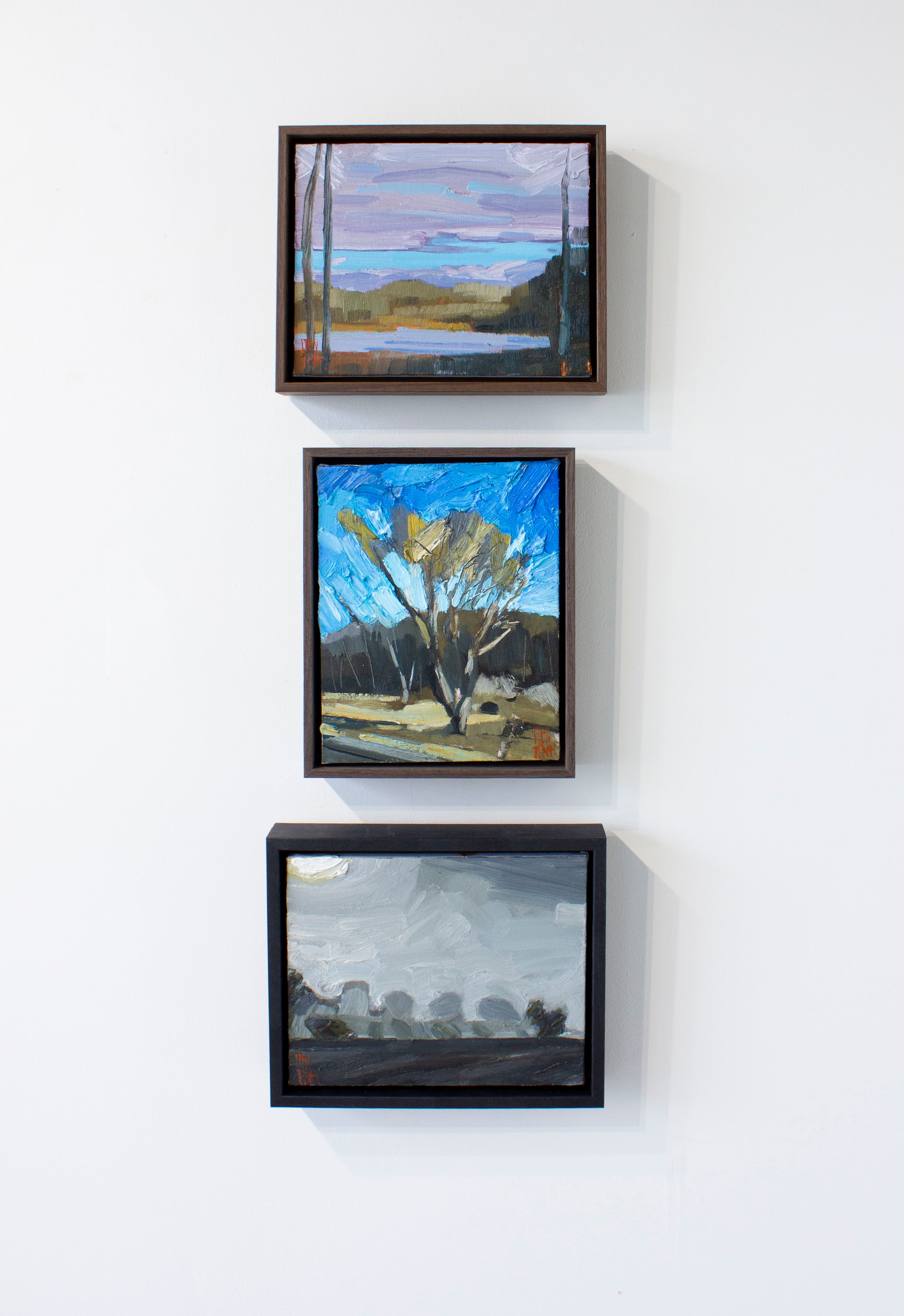 Stewart Jones, DUNES VIEW