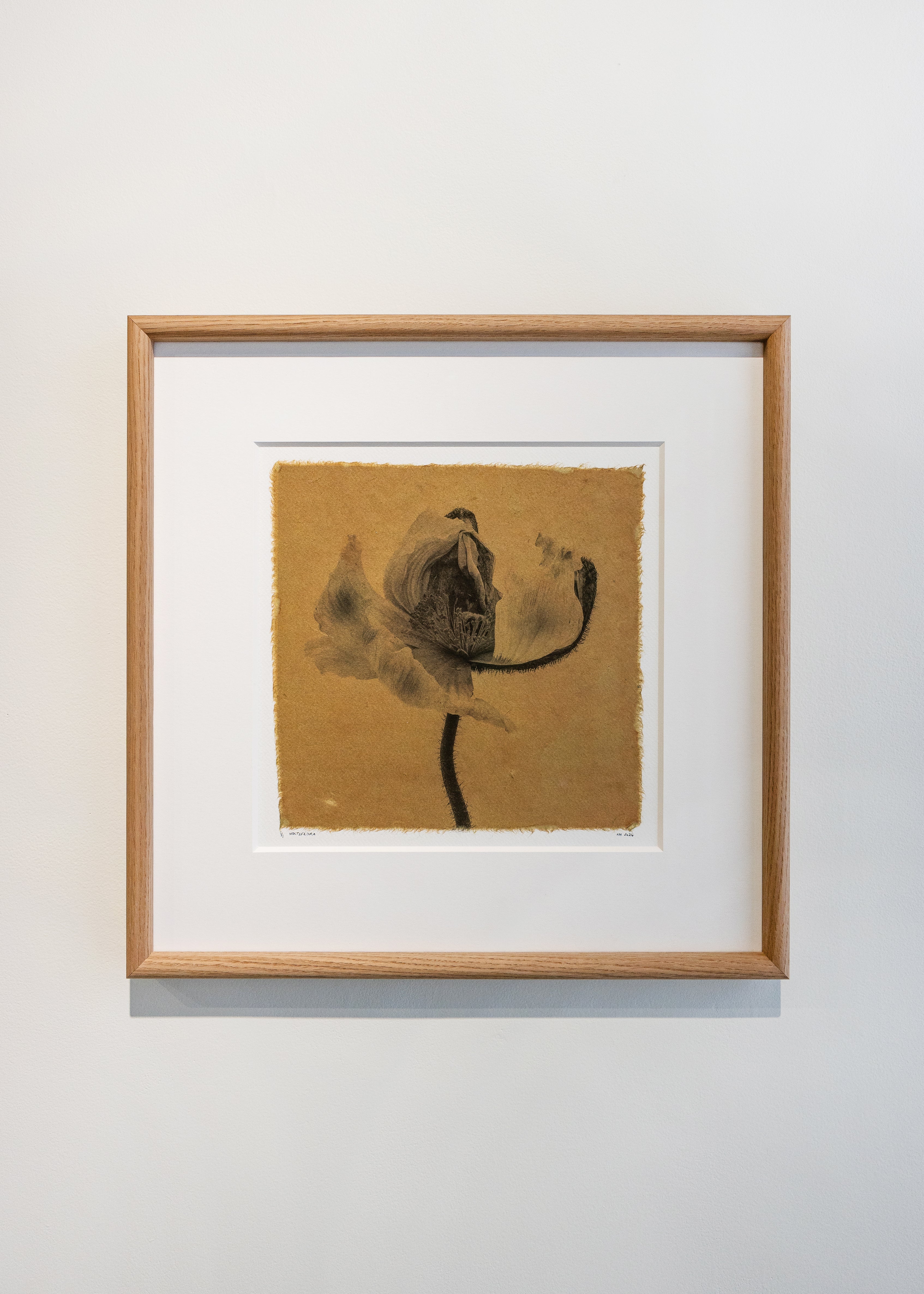 Kelly McDonald, Noctiflora-1