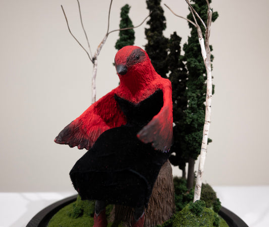 Patti Normand, Quiet