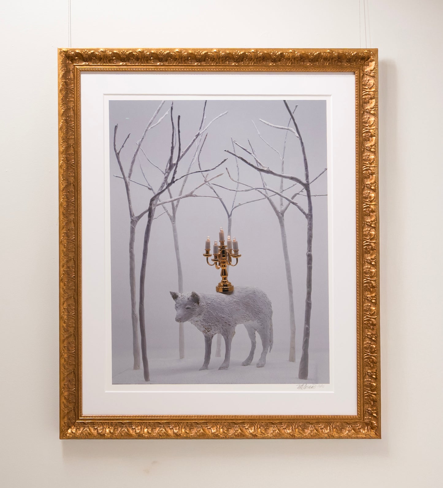 Patti Normand, Transcendence