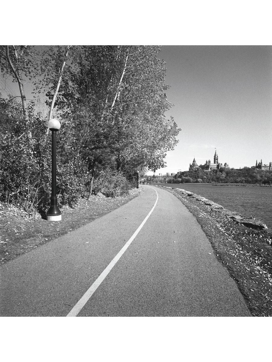 Jordan Craig, Path Towards Parliment
