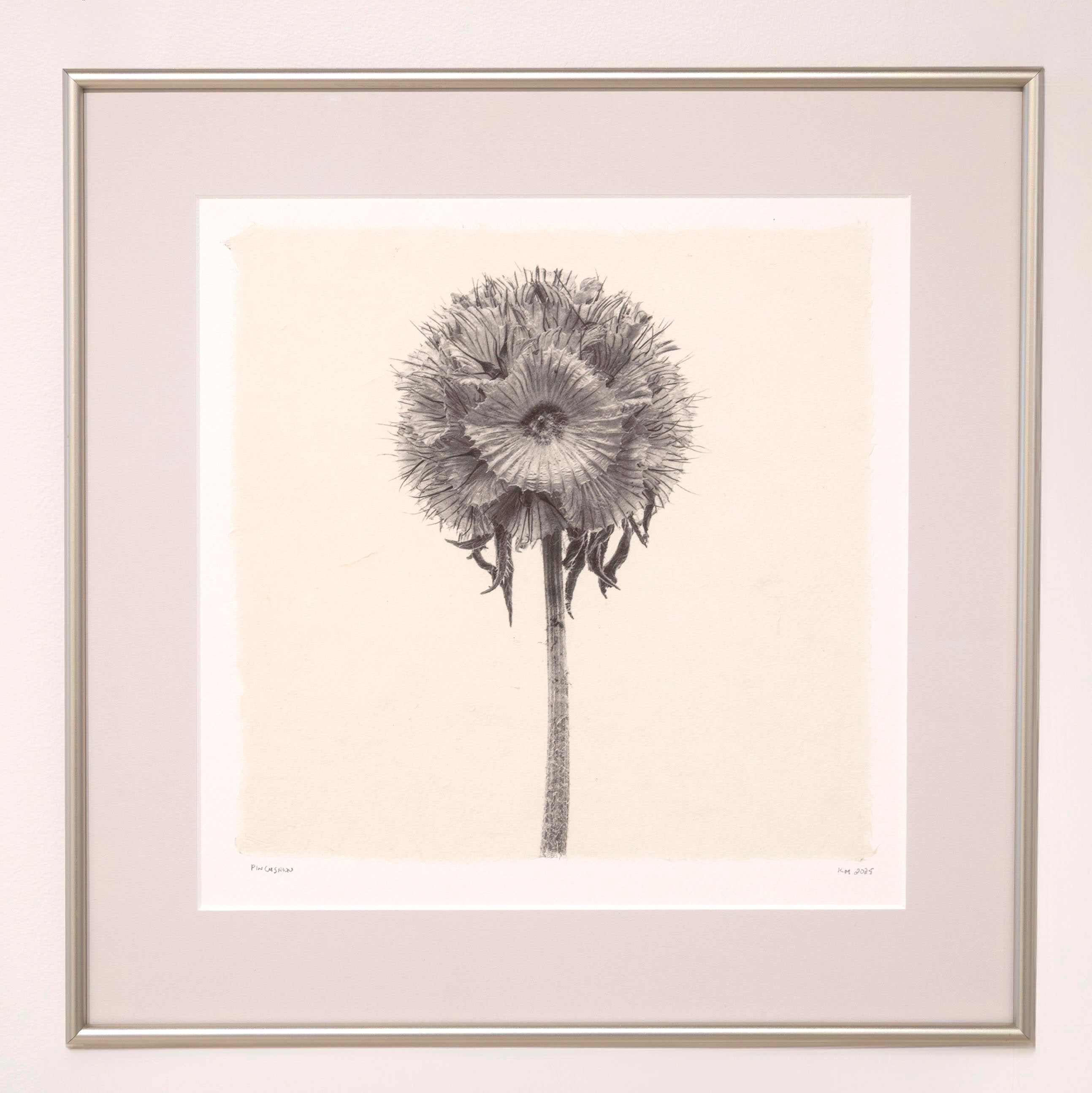 Kelly McDonald, Pincushion