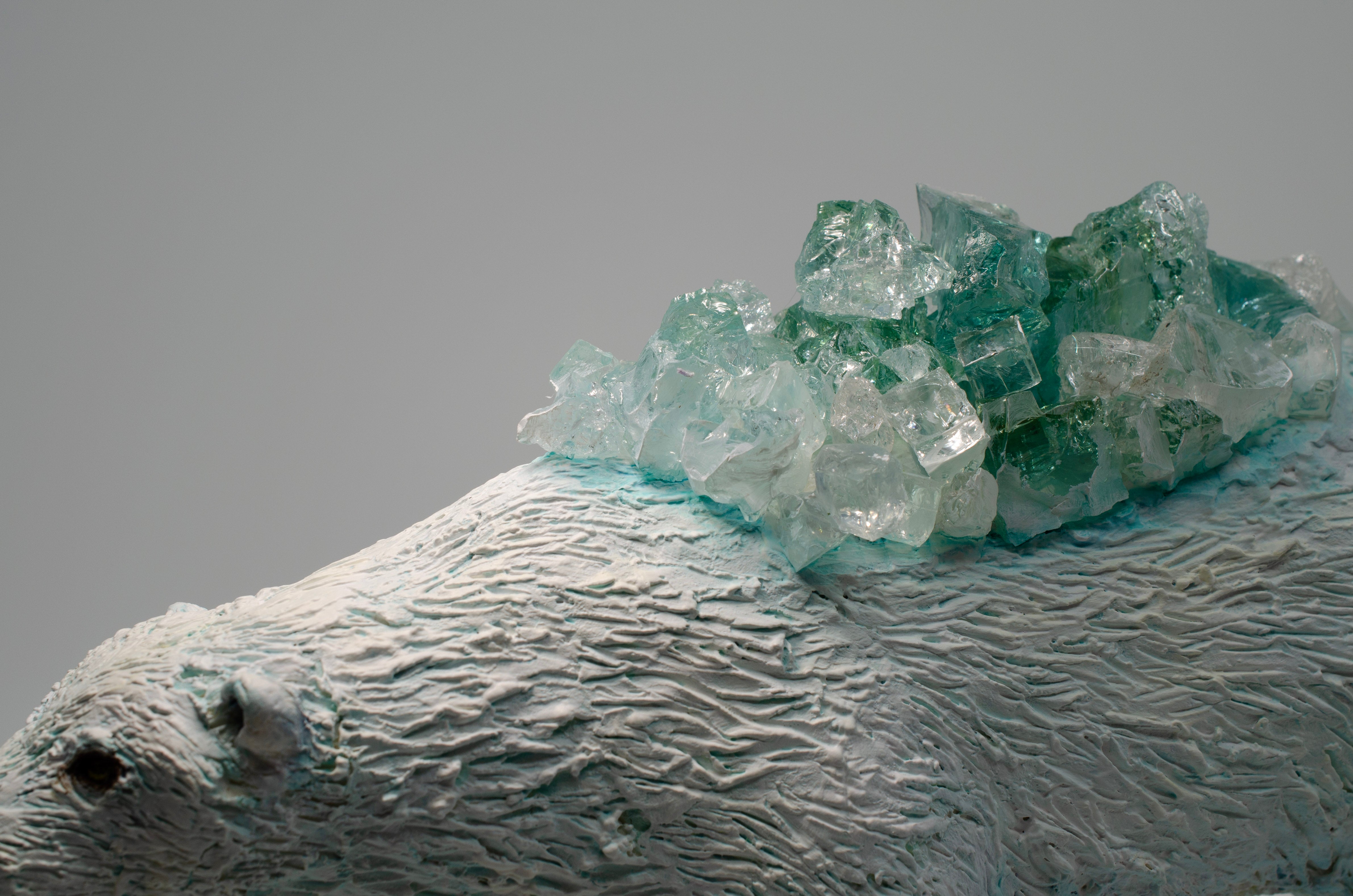 Patti Normand, Polar Bear-3