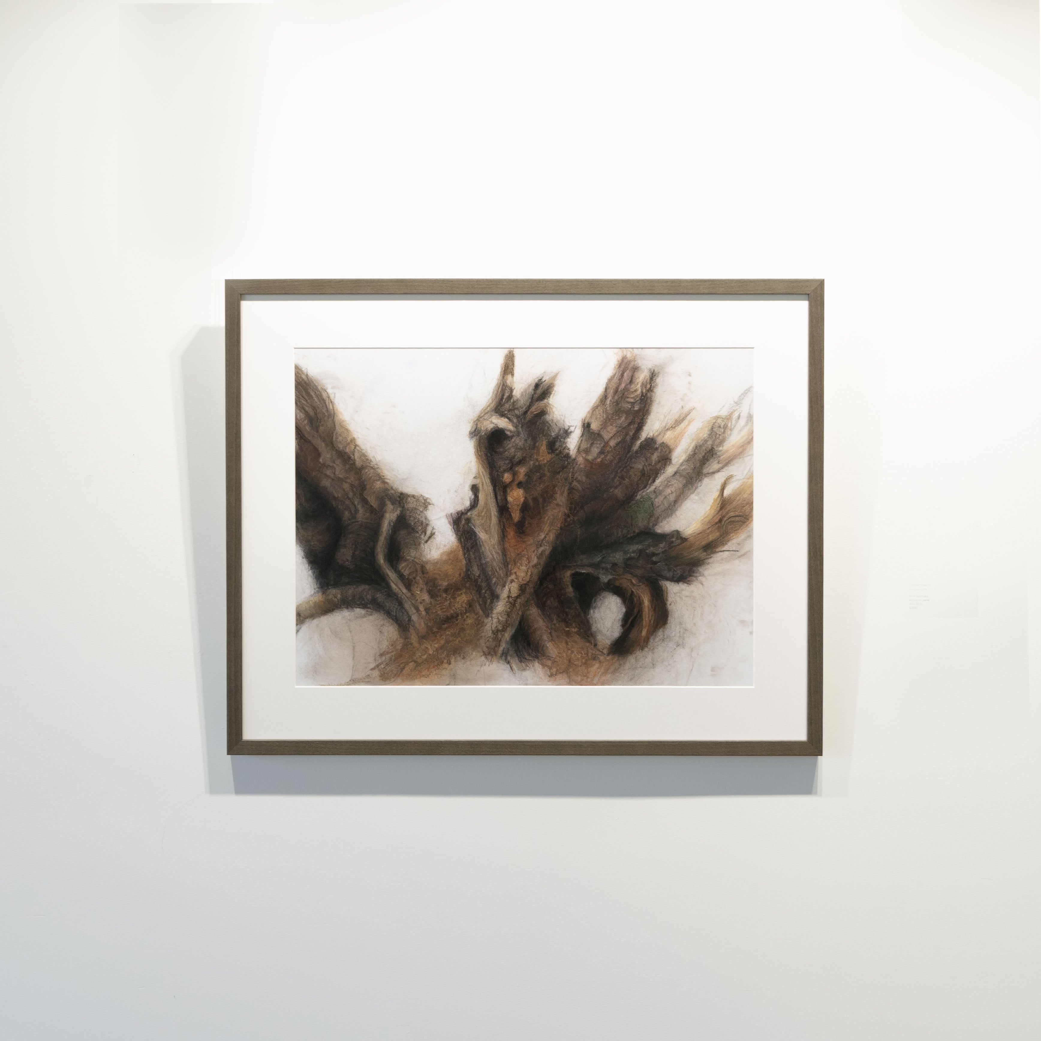 Gabrielle Madore, Rotting Wood, Bells Corners Greenbelt-3