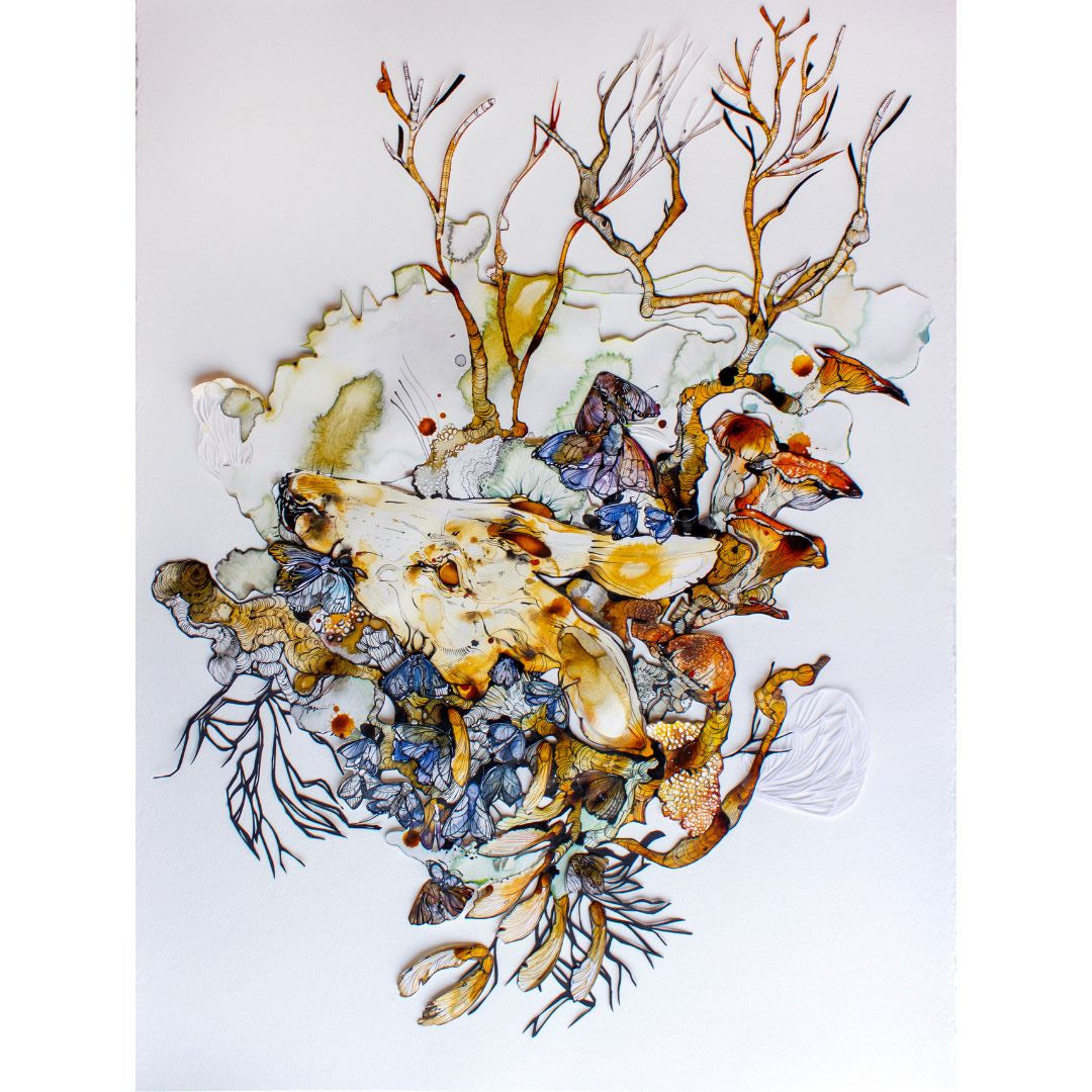 Ariane Beauchamp, Between Roots and Wings