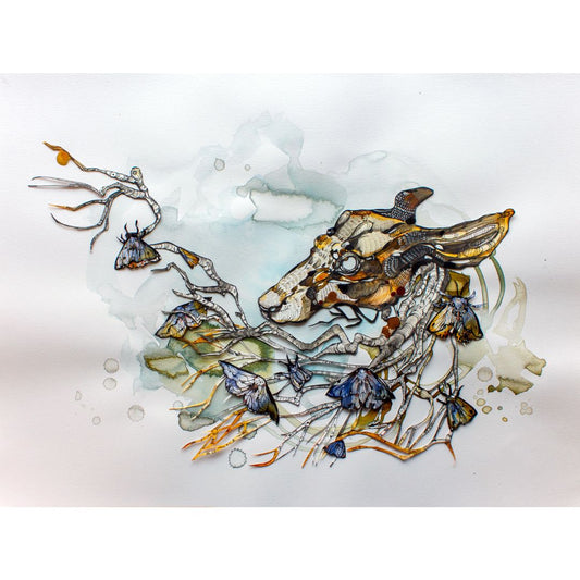 Ariane Beauchamp, Sky Bound