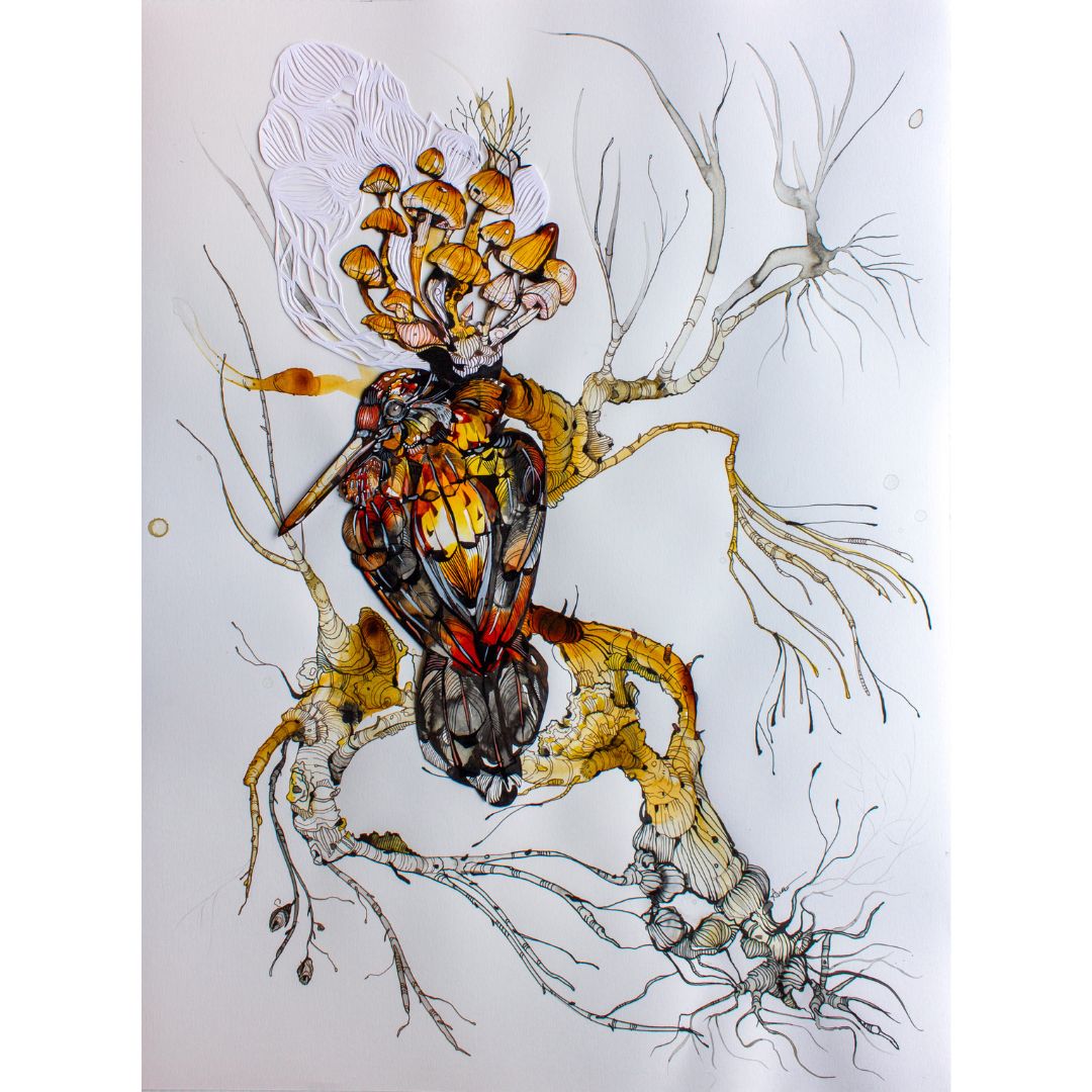 Ariane Beauchamp, Dreamer