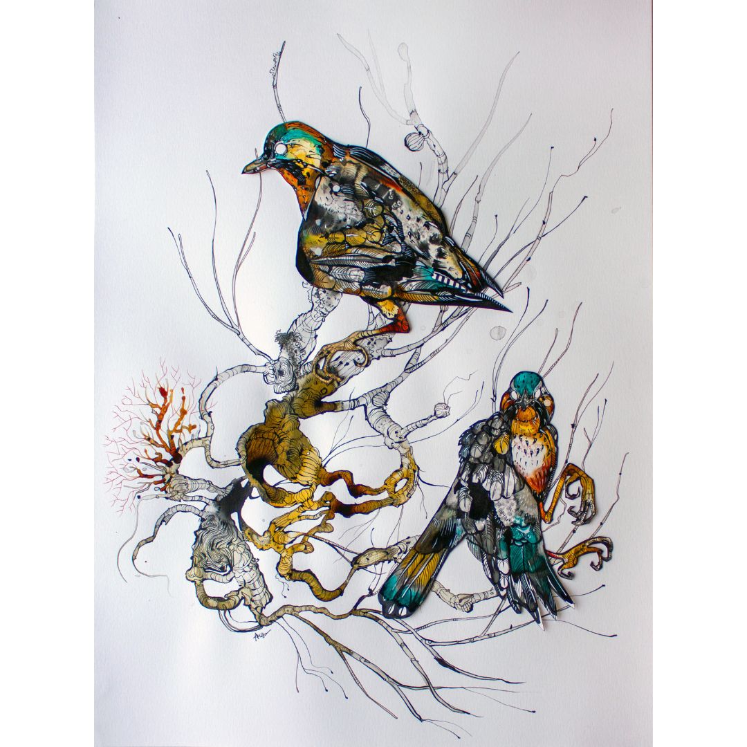 Ariane Beauchamp, The Pair