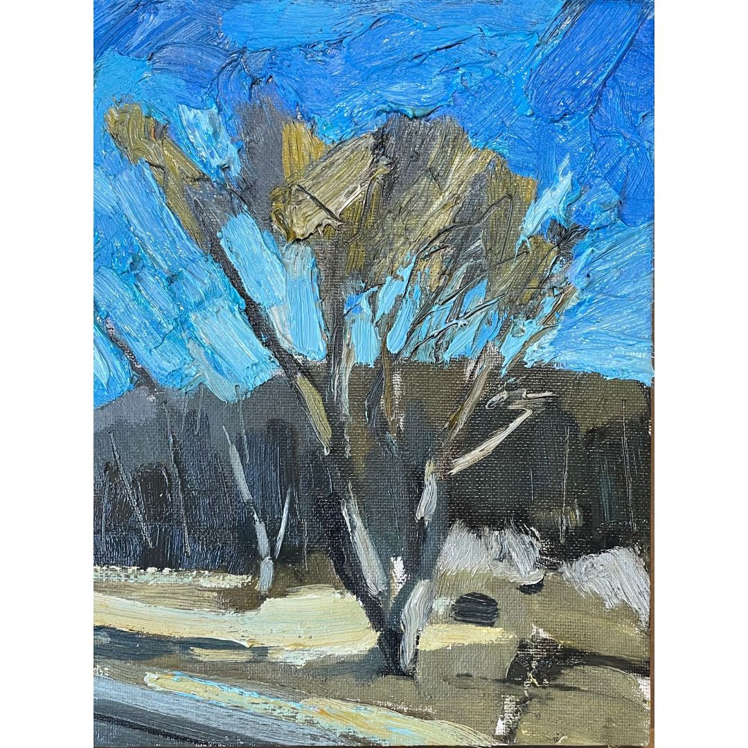Stewart Jones, ROADSIDE TREE _PEC