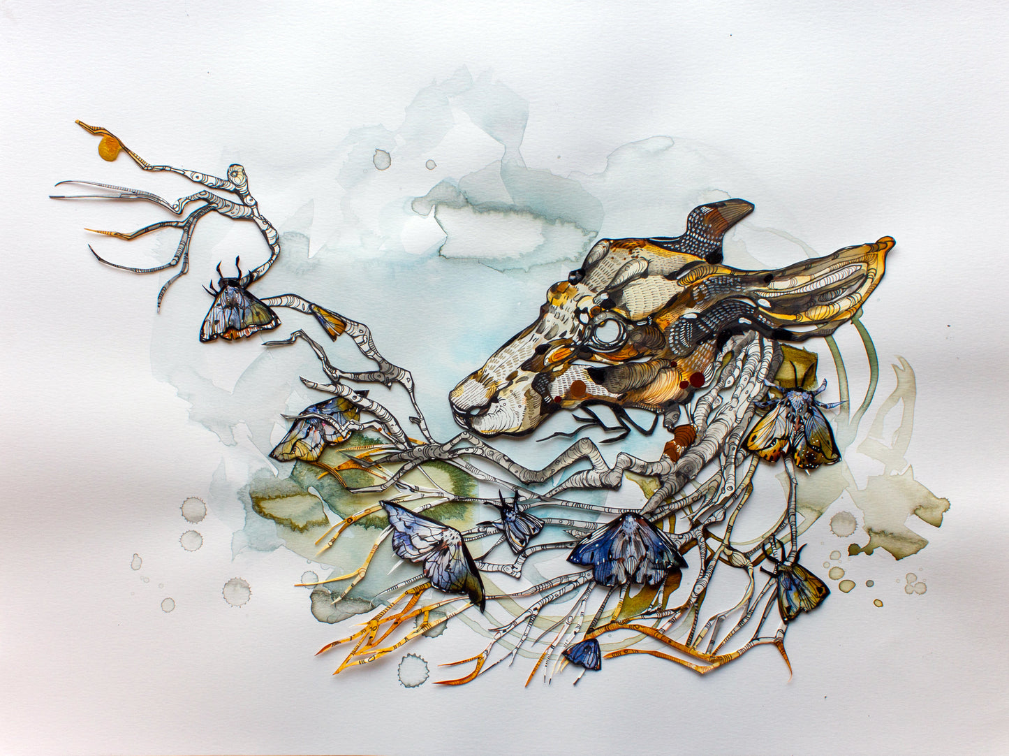 Ariane Beauchamp, Sky Bound