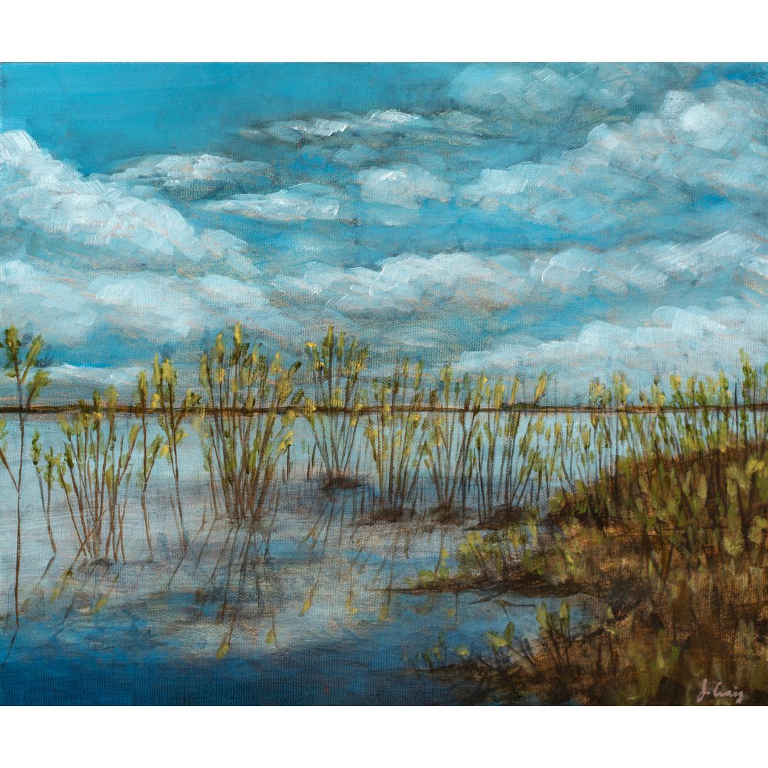 Jordan Craig, Migratory Bird Sanctuary