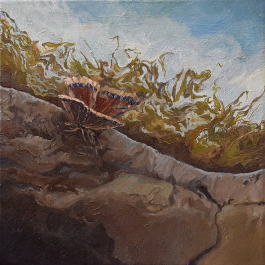 Erin Szturm, Wayward