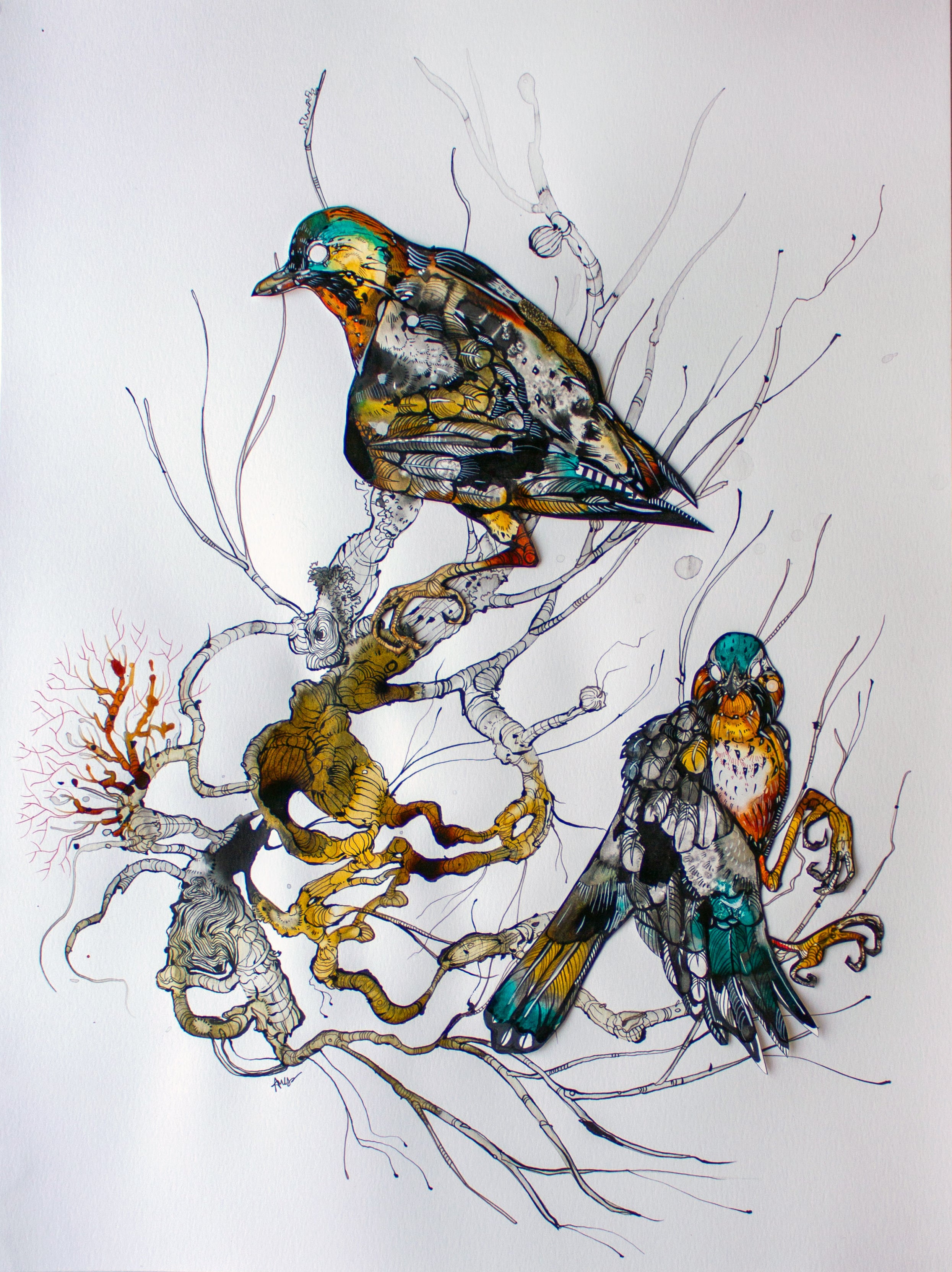 Ariane Beauchamp, The Pair