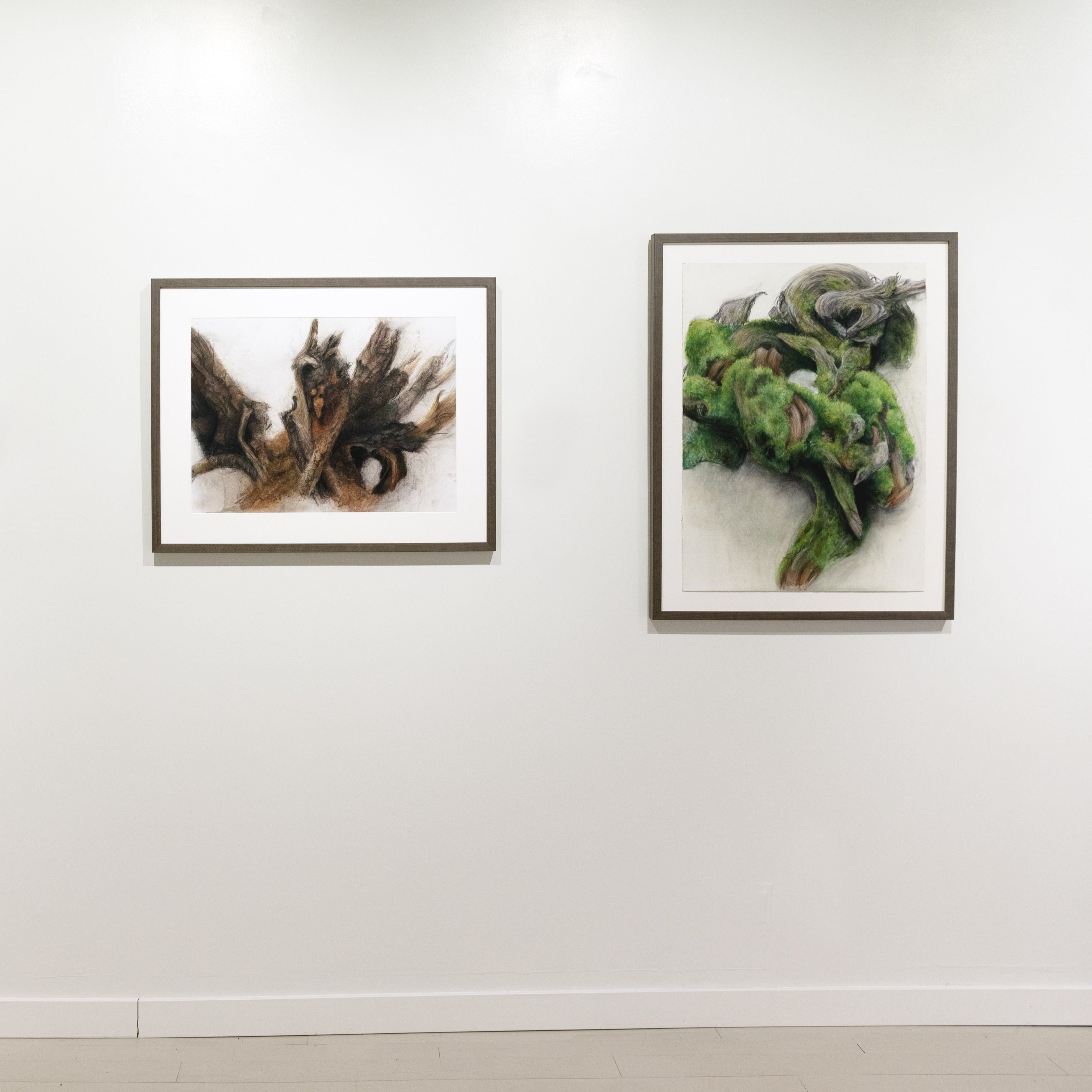 Gabrielle Madore, Rotting Wood, Bells Corners Greenbelt-2