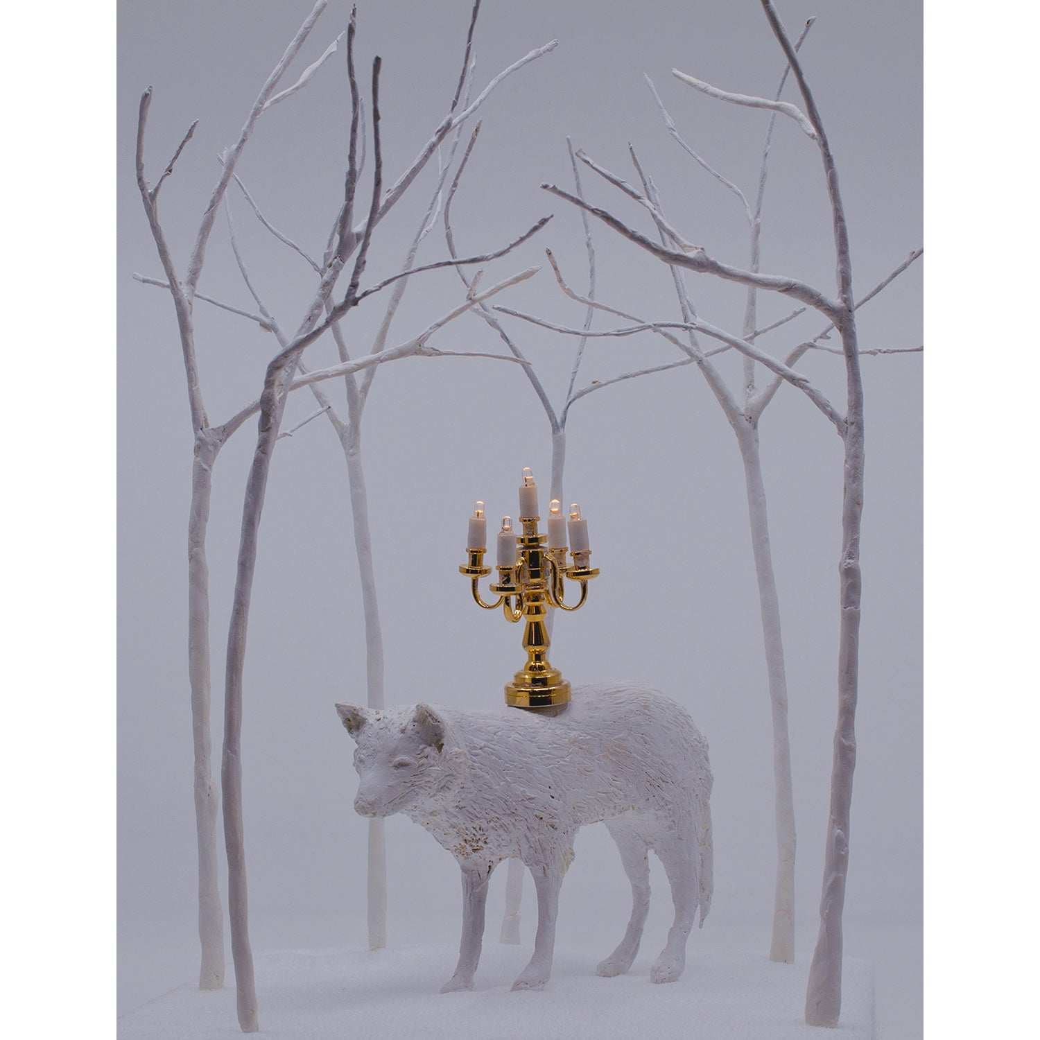 Patti Normand, Transcendence