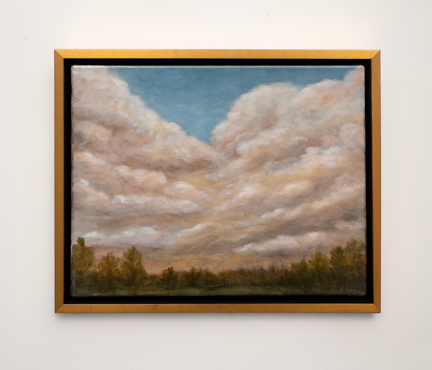 Jordan Craig, Uplands Sunrise