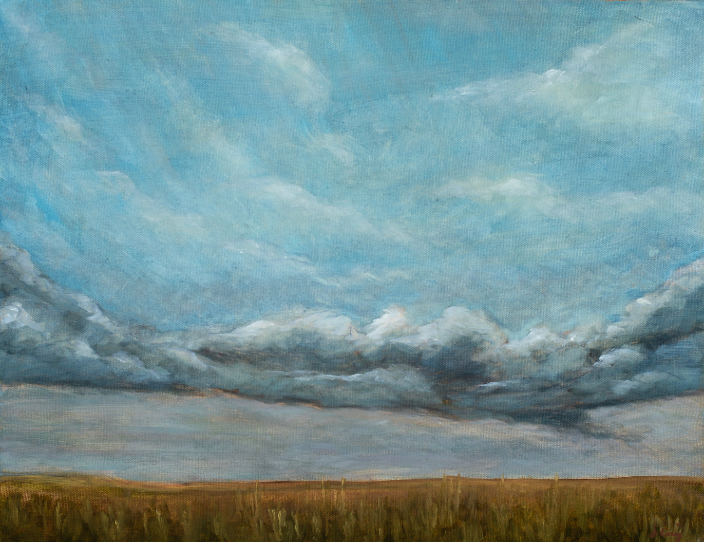 Jordan Craig, Uplands Sky