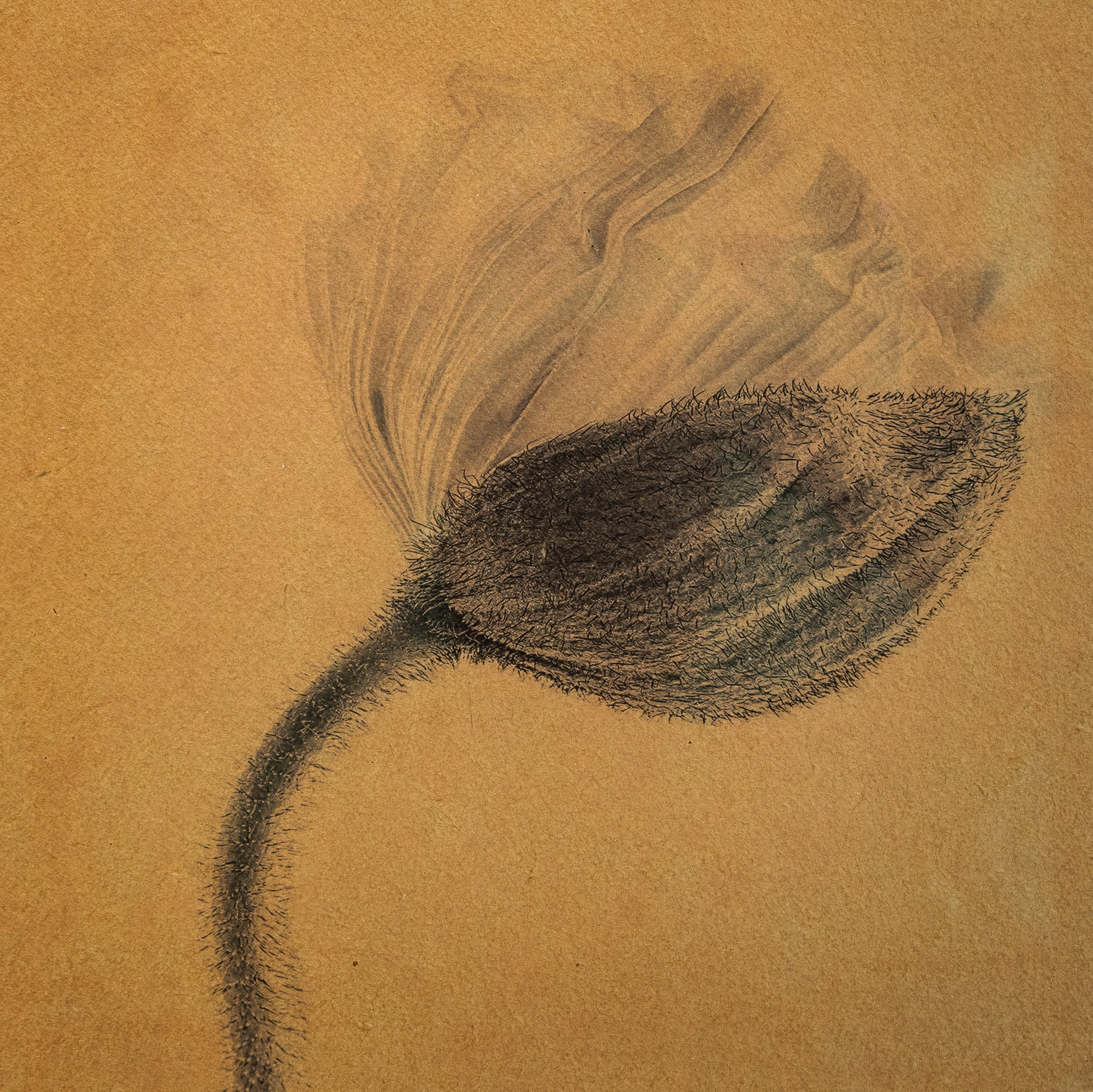 Kelly McDonald, Vespers