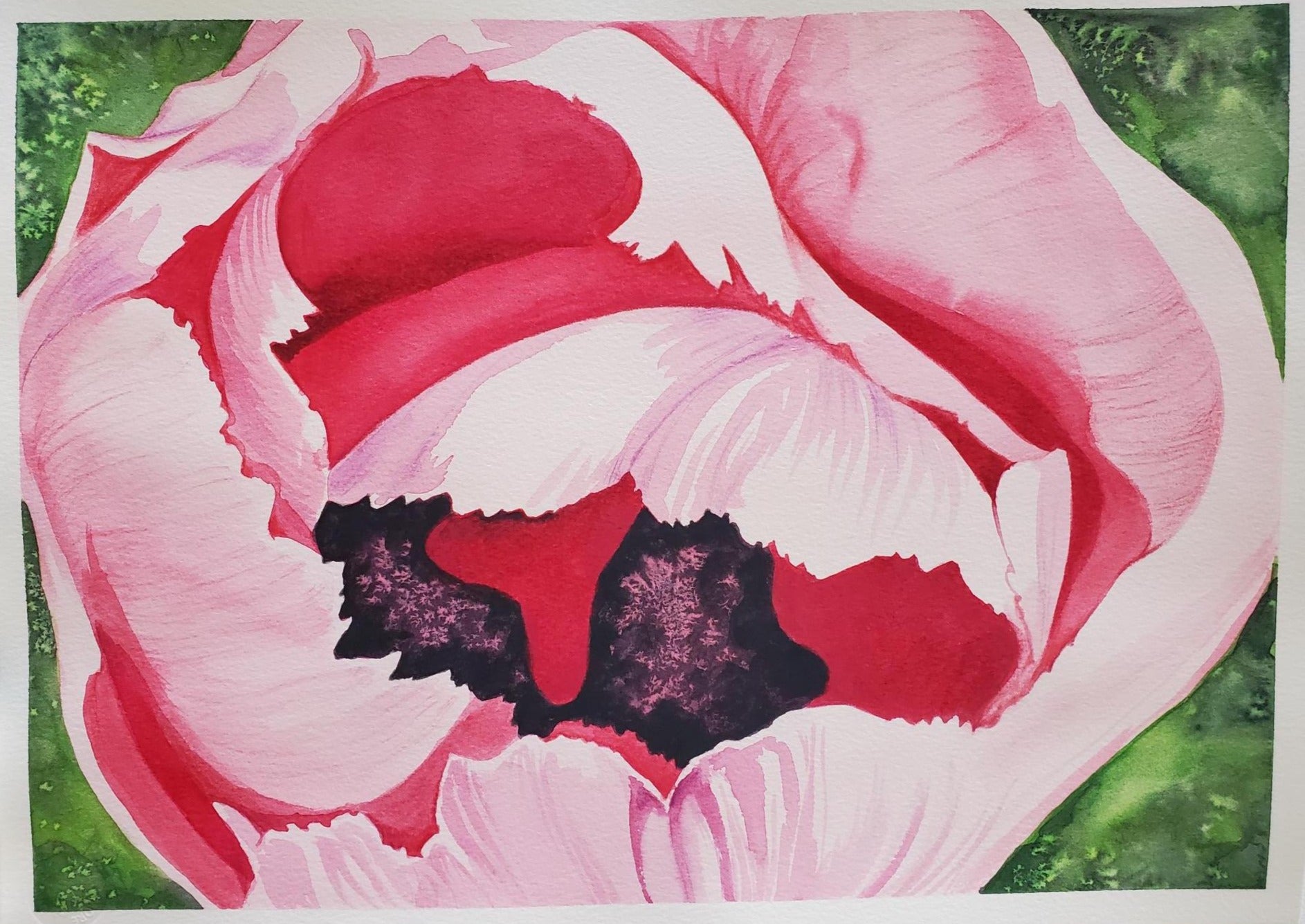 Erica Hawkes, WC Sketch 004