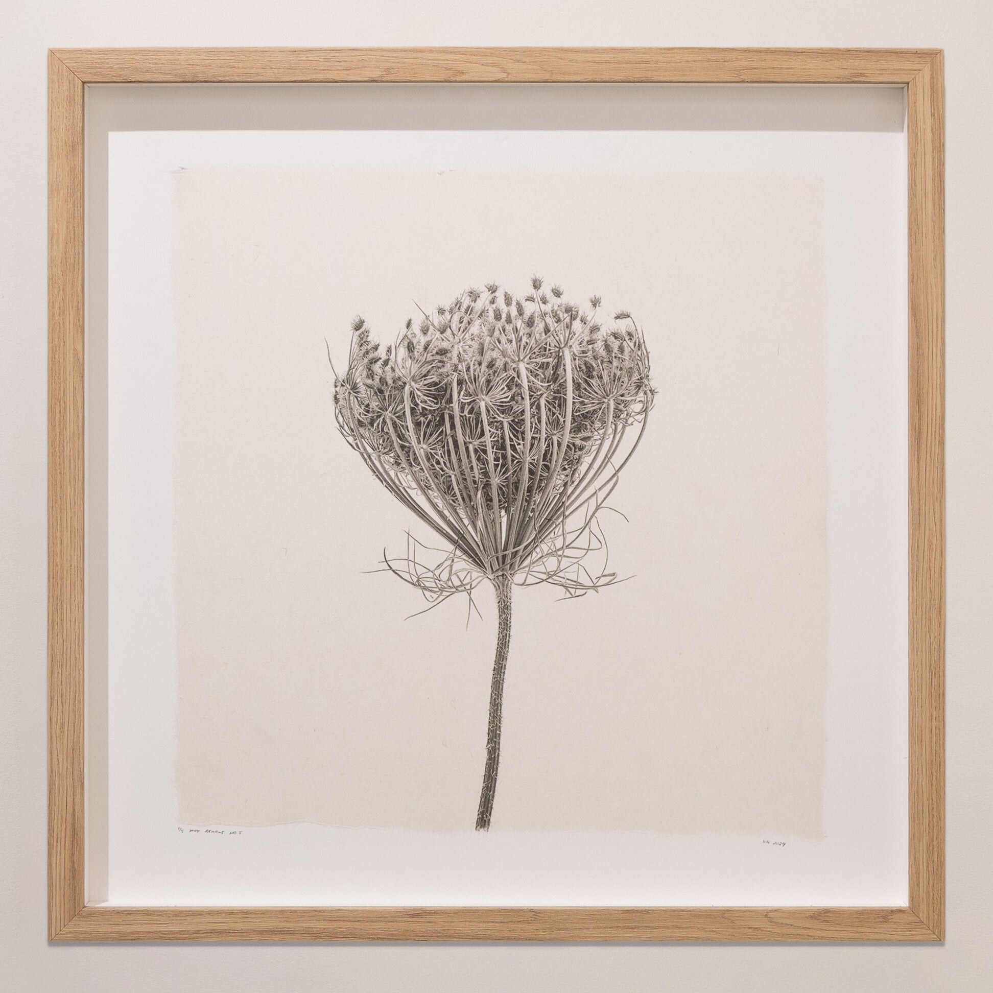 Kelly McDonald, What remains no.5