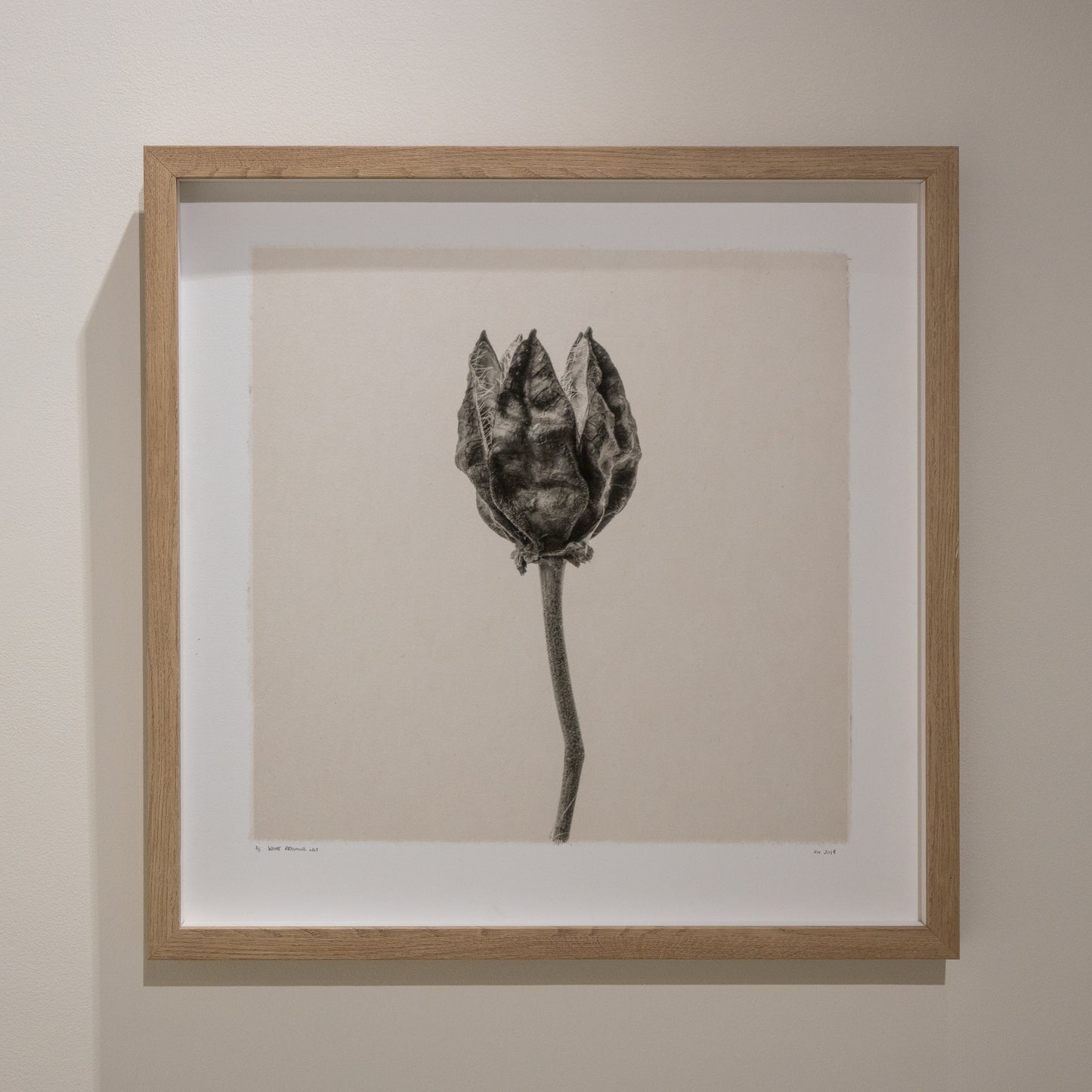 Kelly McDonald, What remains no.1