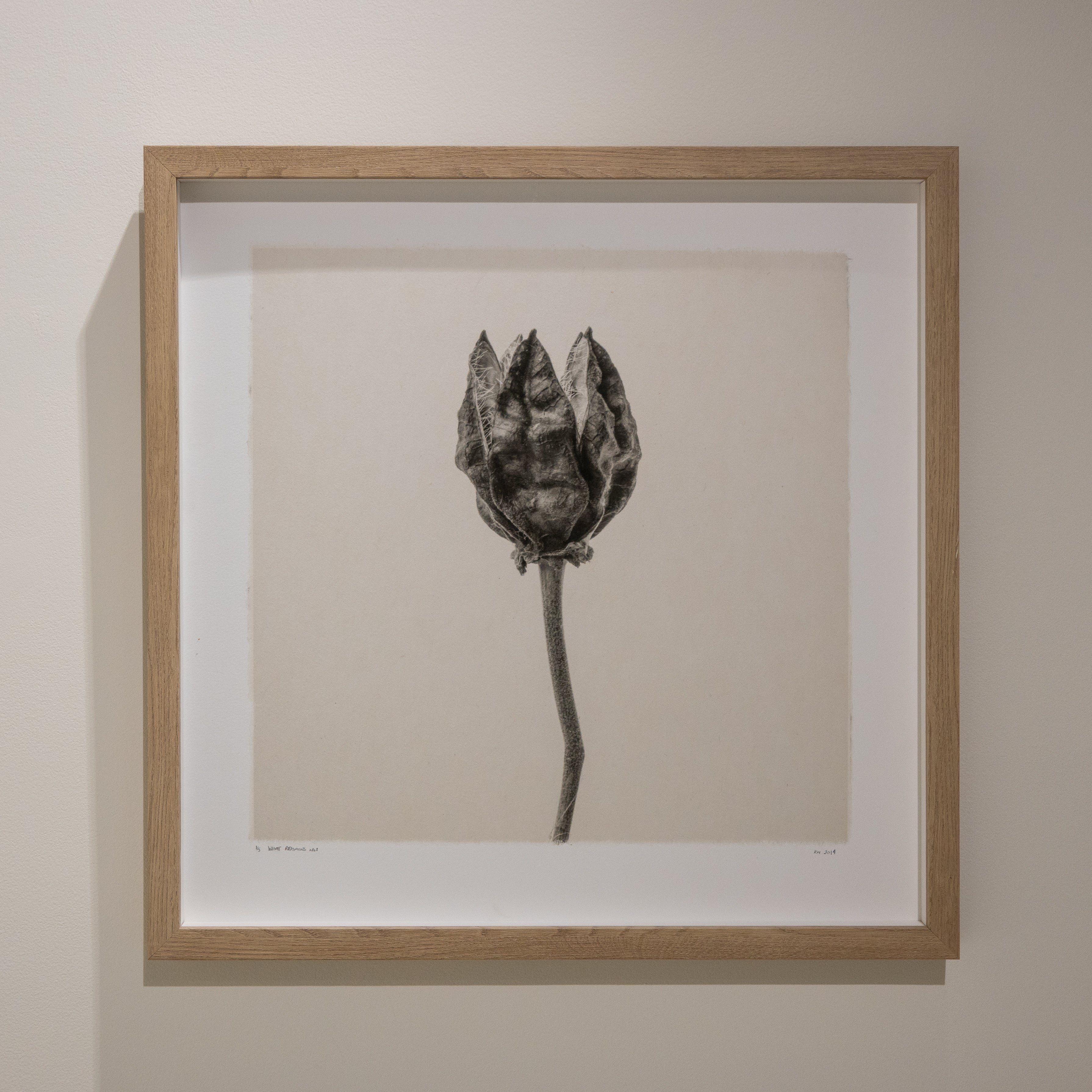 Kelly McDonald, What remains no.1