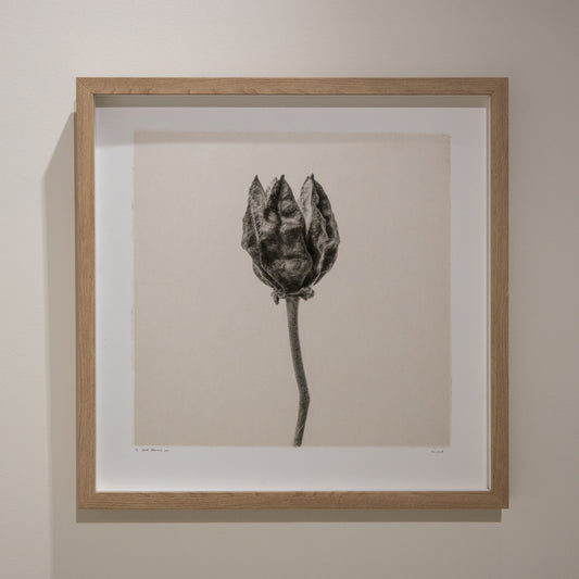 Kelly McDonald, What remains no.1