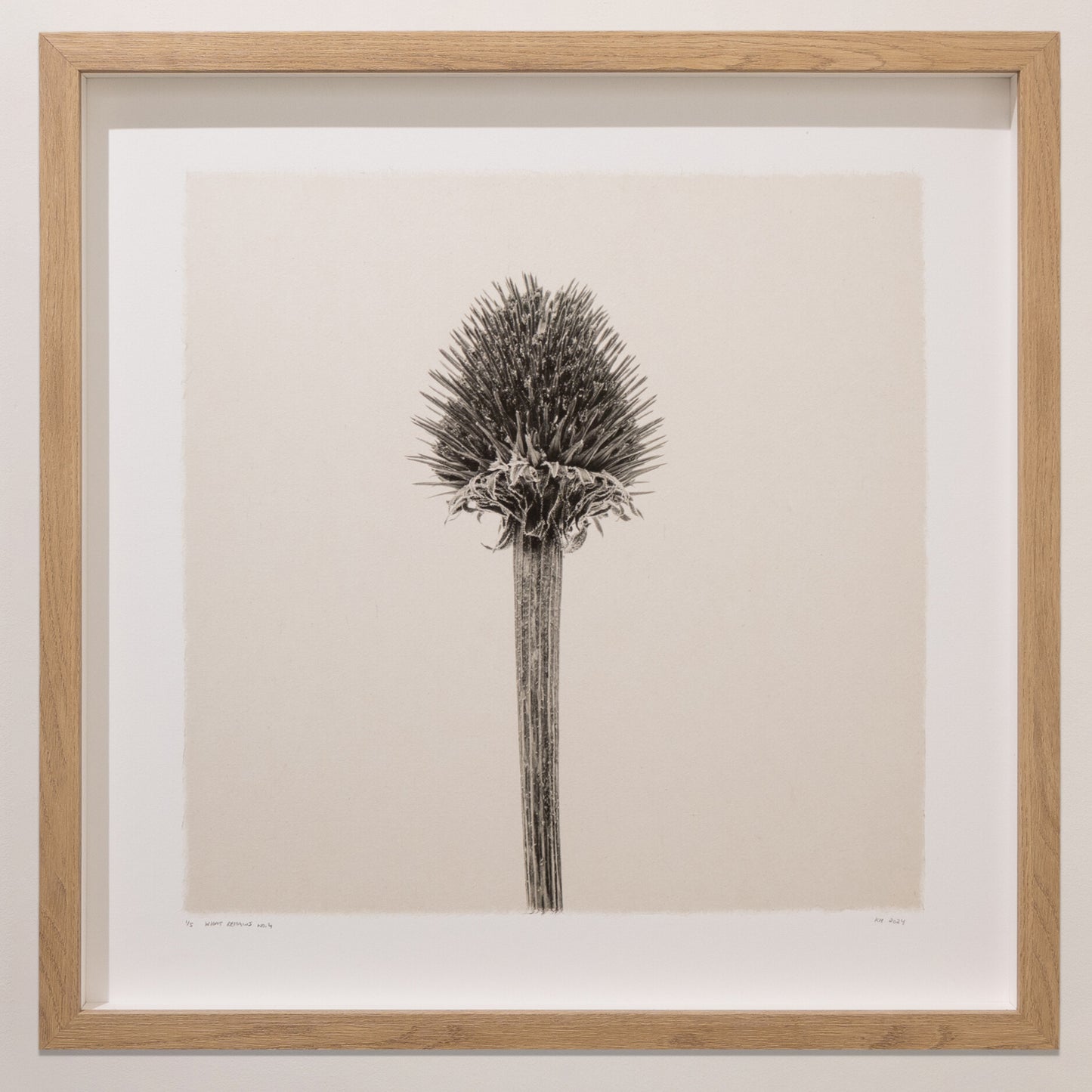 Kelly McDonald, What remains no.4