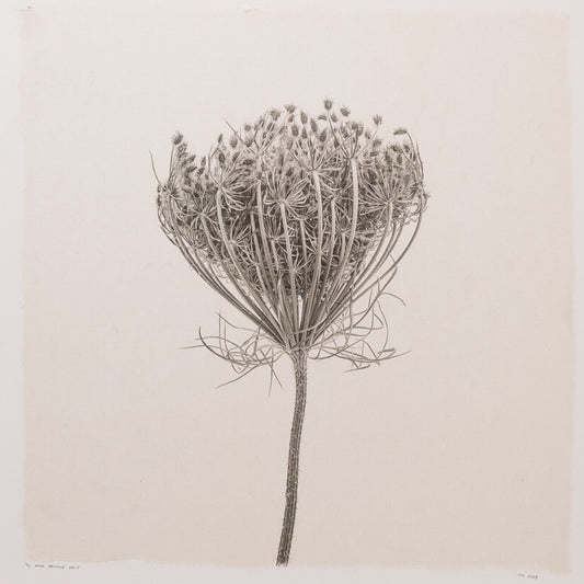 Kelly McDonald, What remains no.5