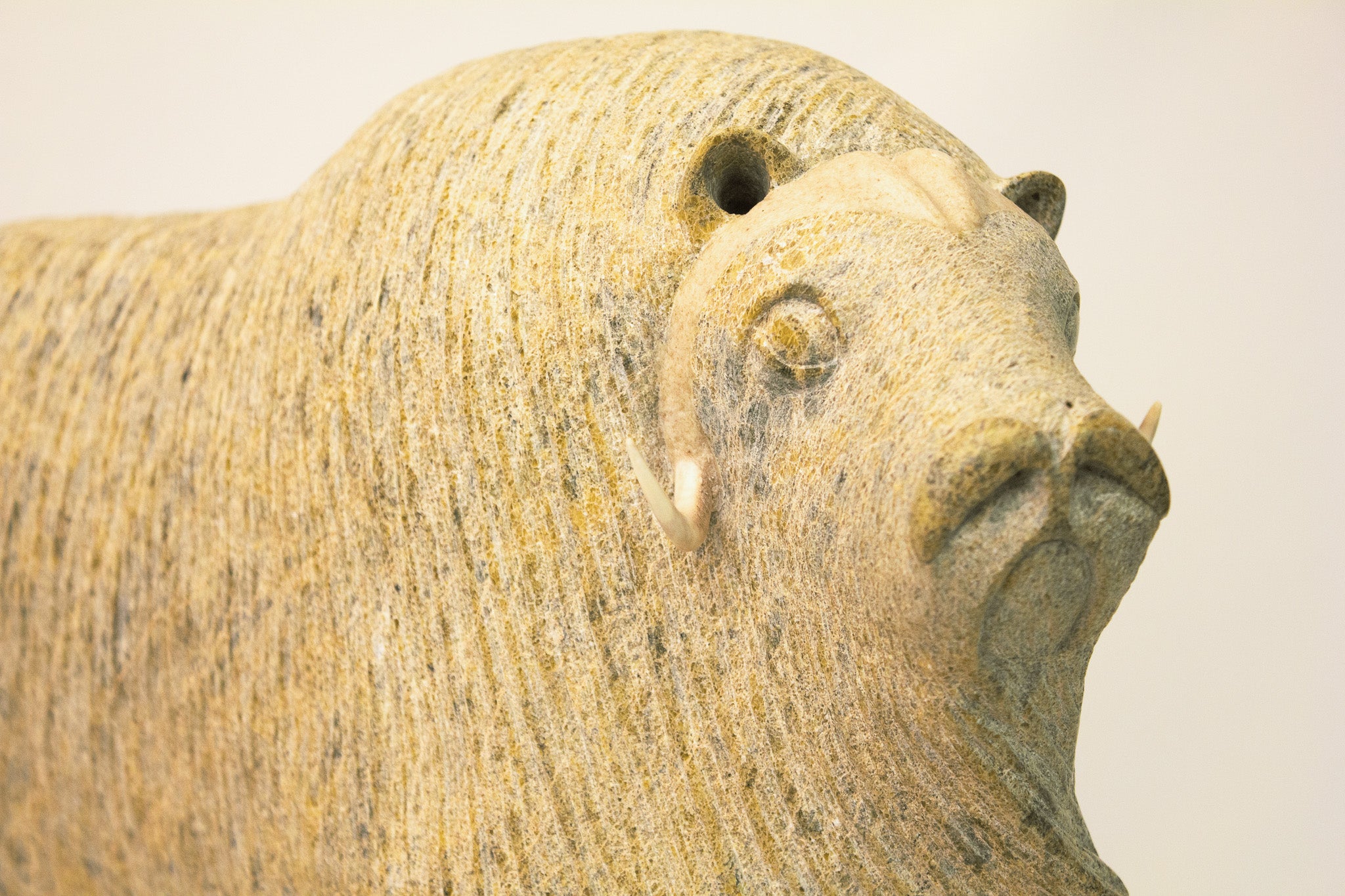 Muskox, Lucassie Ikkidluak (Inuit, Kimmirut)-6