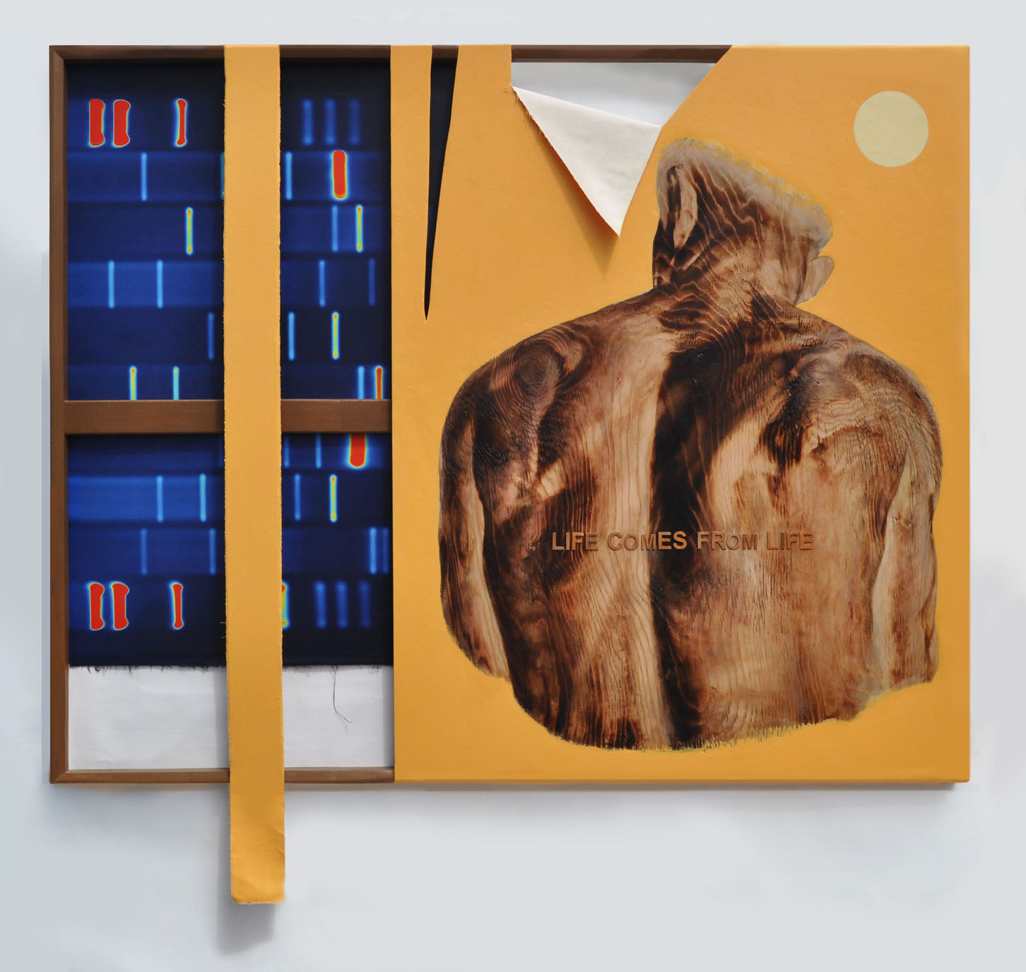 Ranajit Sinha, Life comes from life