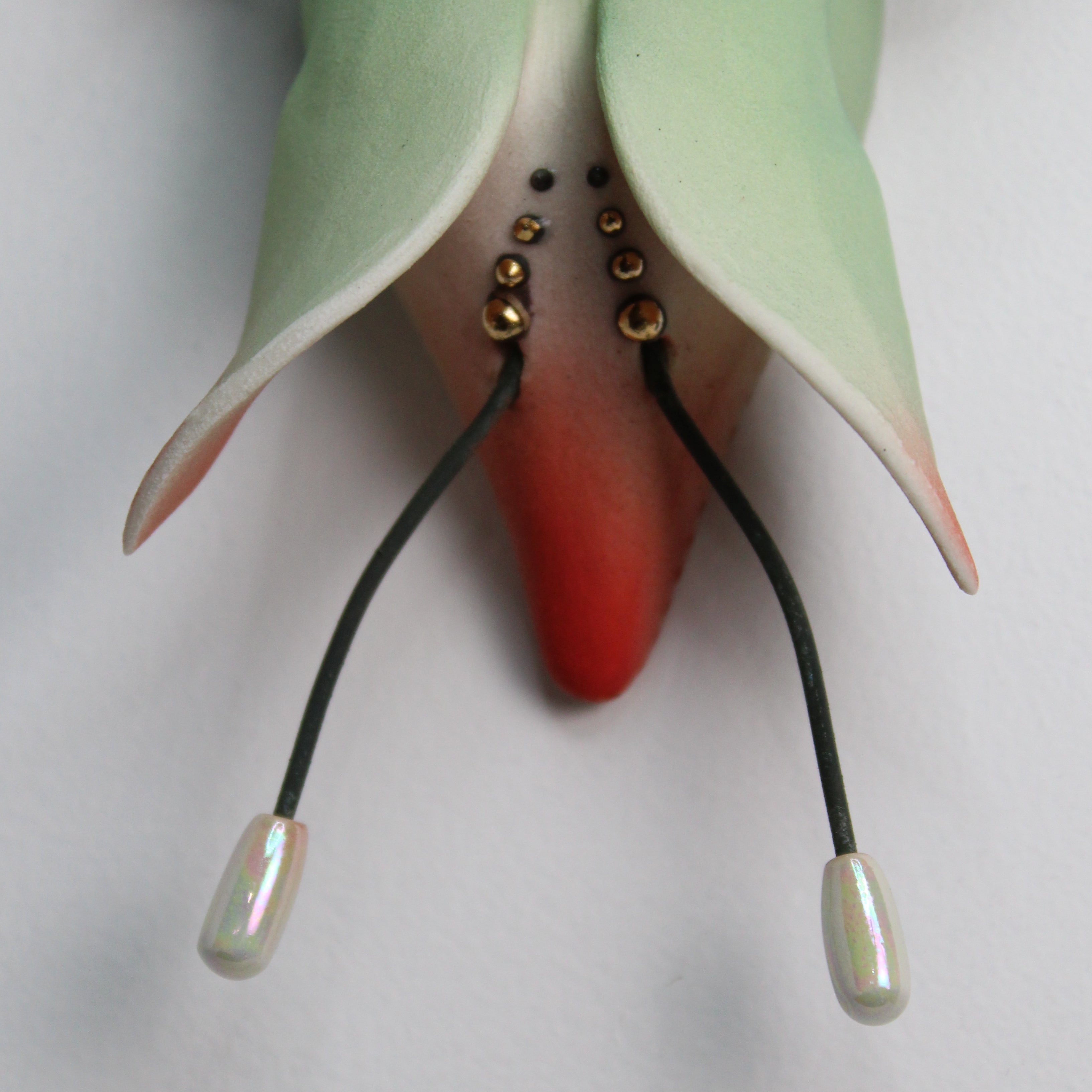 Dauma Stirbyte, Beetle 5-3