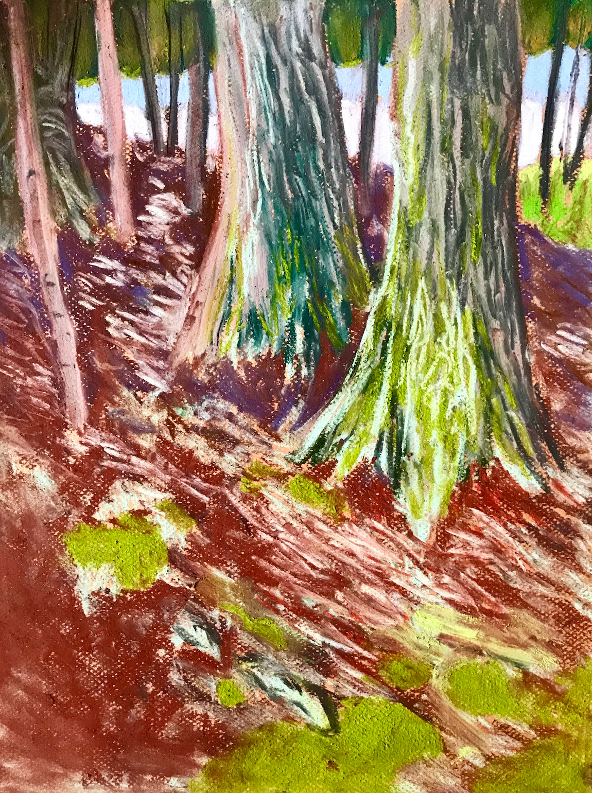 Alex Chowaniec, Rideau Lakes (Mossy Twin Oaks)