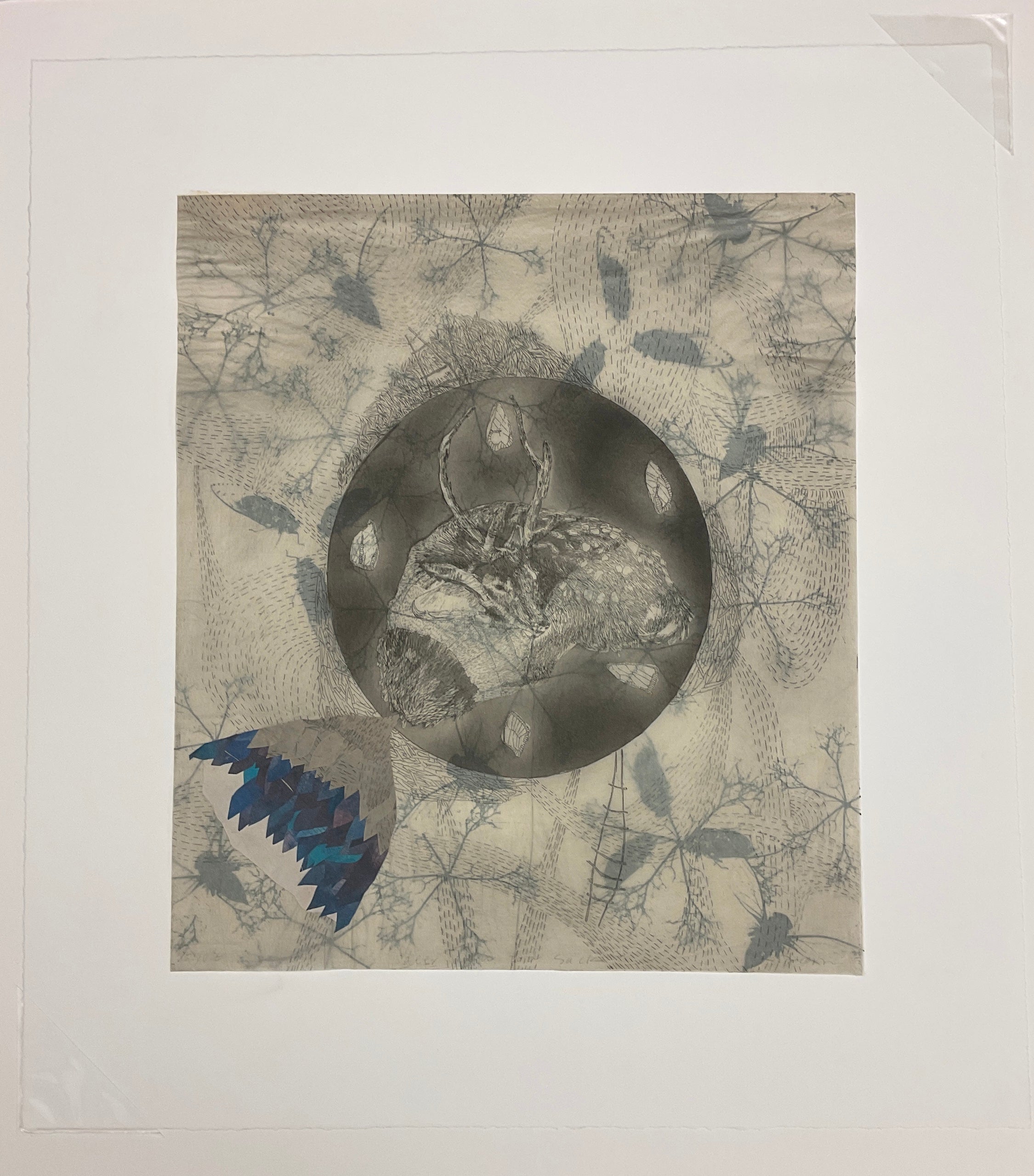 Elizabeth D'Agostino, Deer with Podsack I-6