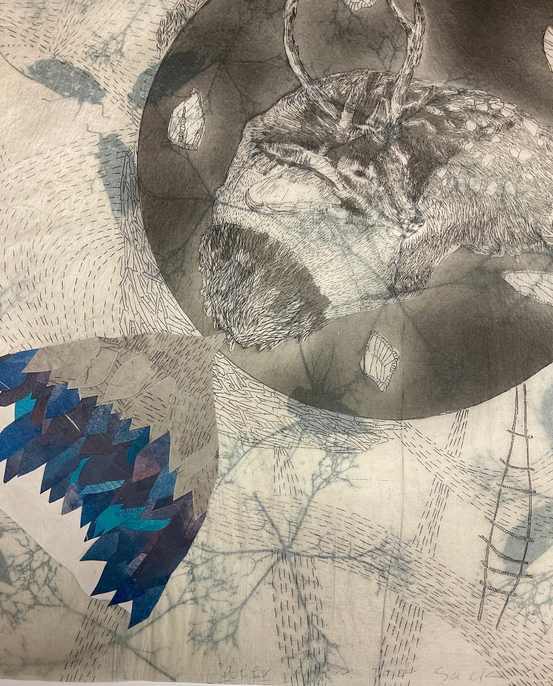 Elizabeth D'Agostino, Deer with Podsack I-7