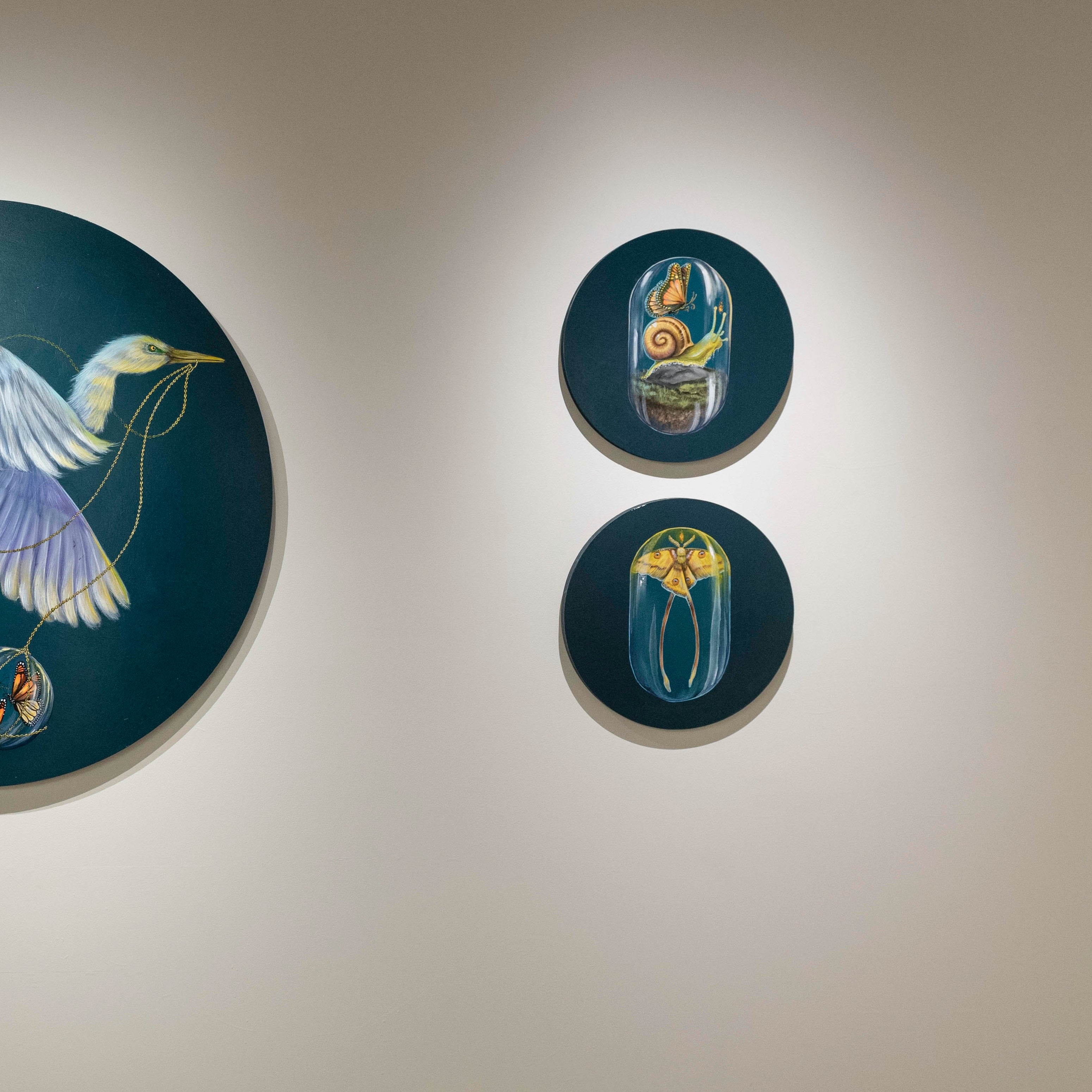 Drew Mosley, Comet Moth