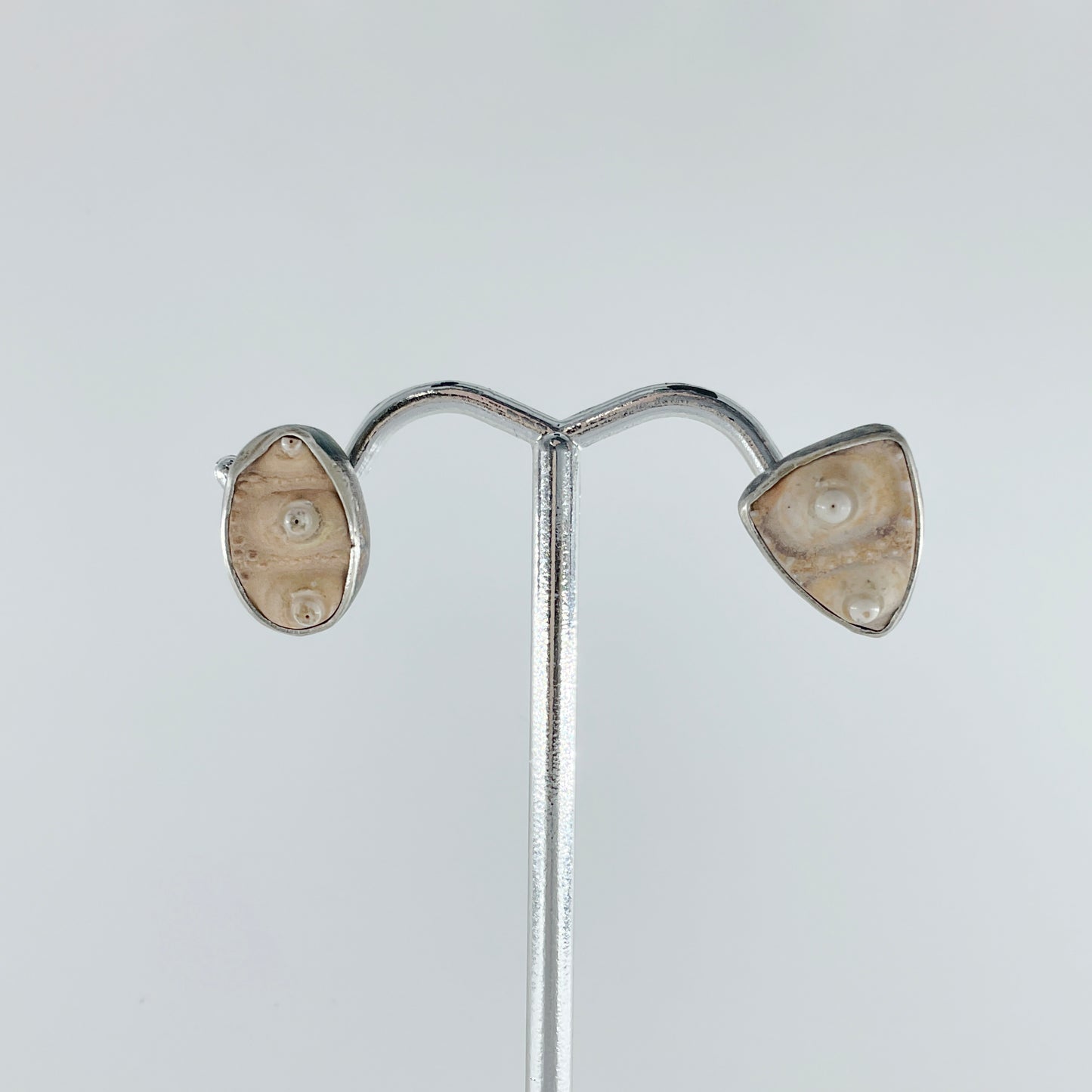 Ignis Borealis, Fossilized Urchin Stud Earrings