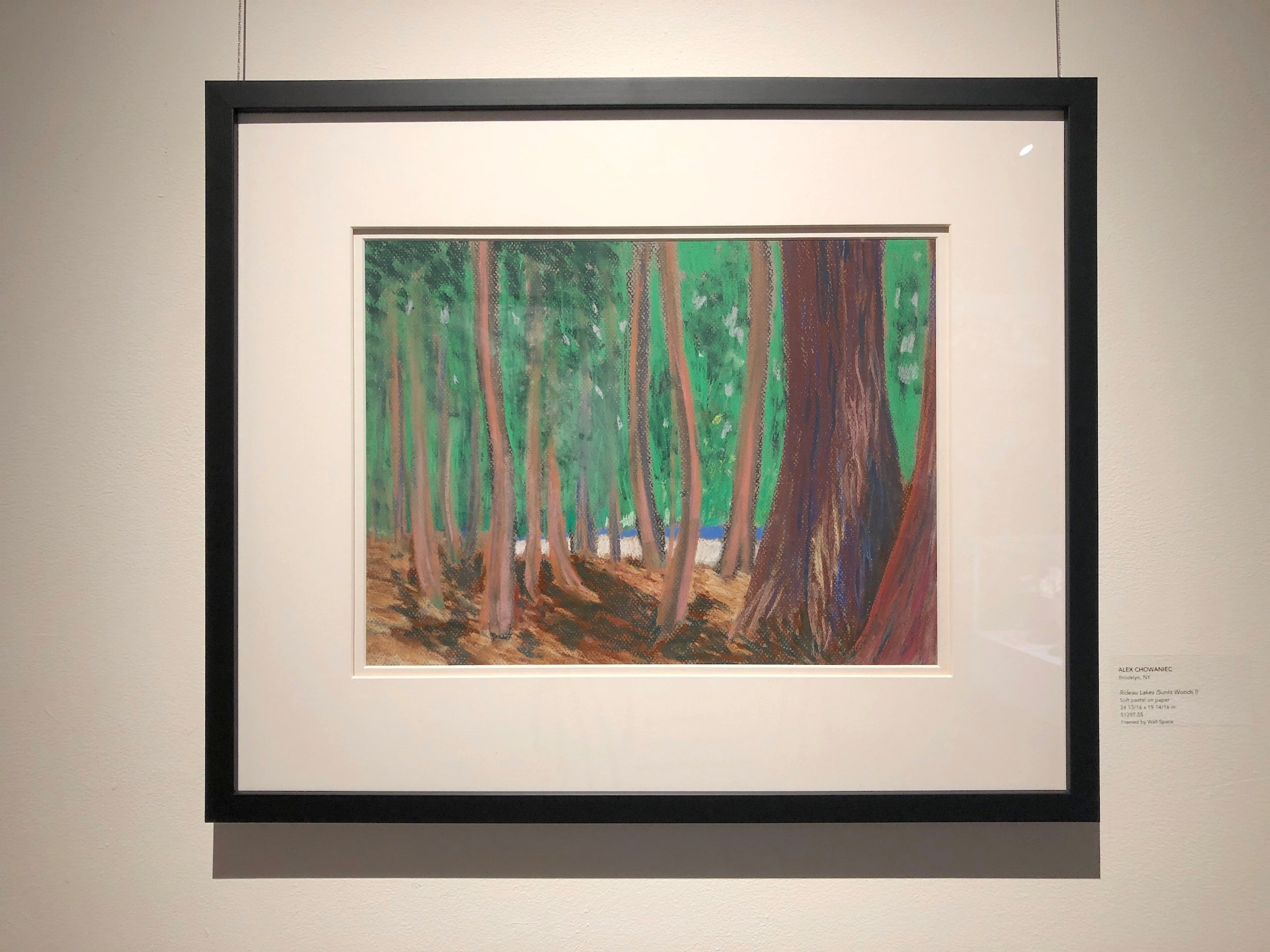 Alex Chowaniec, Rideau Lakes (Sunlit Woods I)-4