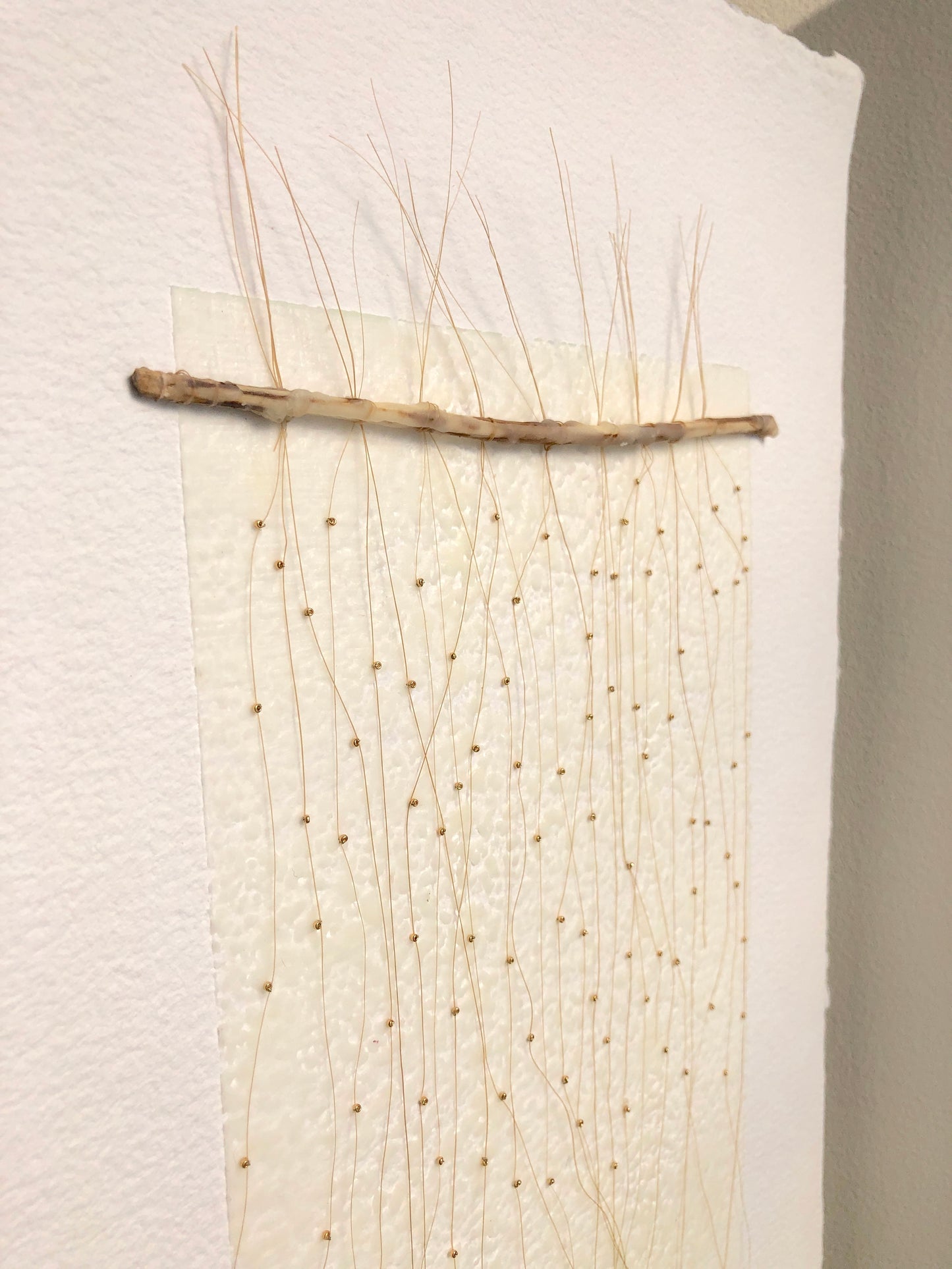 Ava Roth, Beeswax, Horsehair and Branch