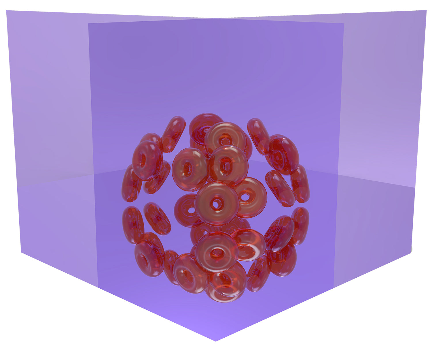 Marianne Burlew, Donut Study III