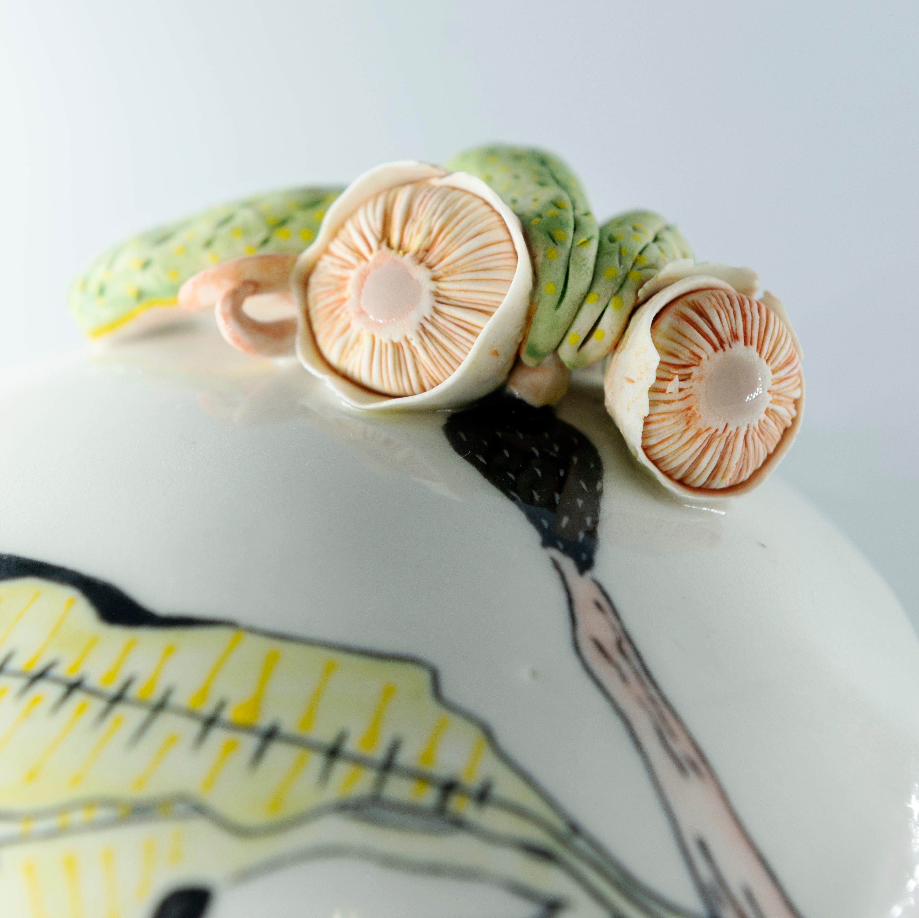 Marney McDiarmid, Frondescence